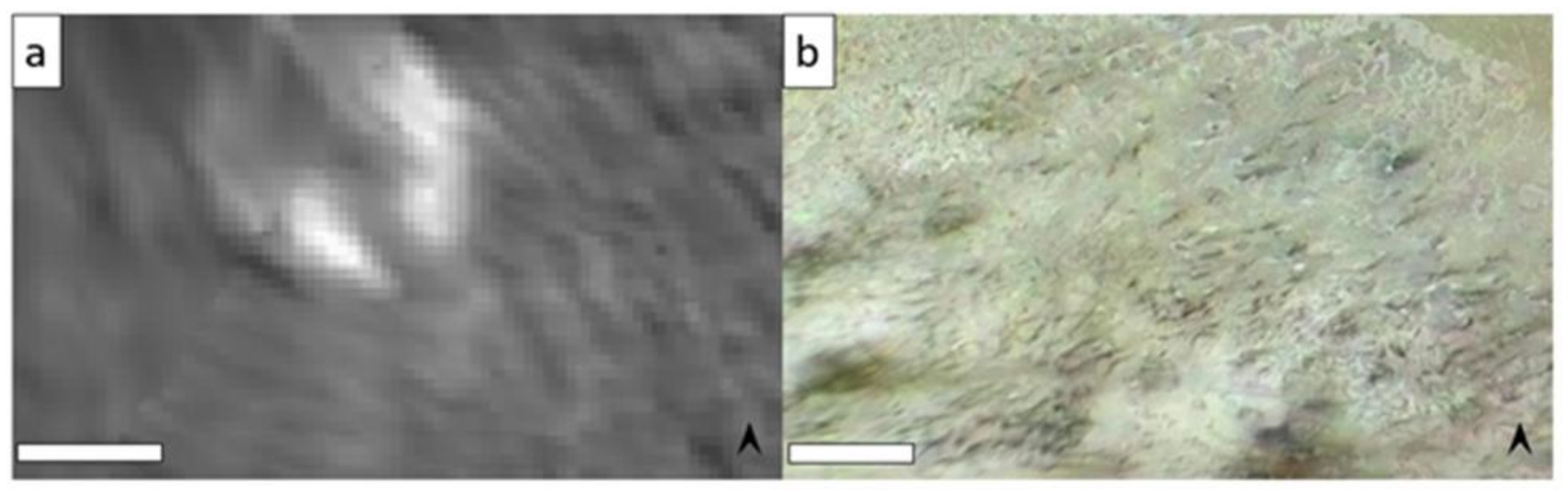 Geosciences 12 00051 g009