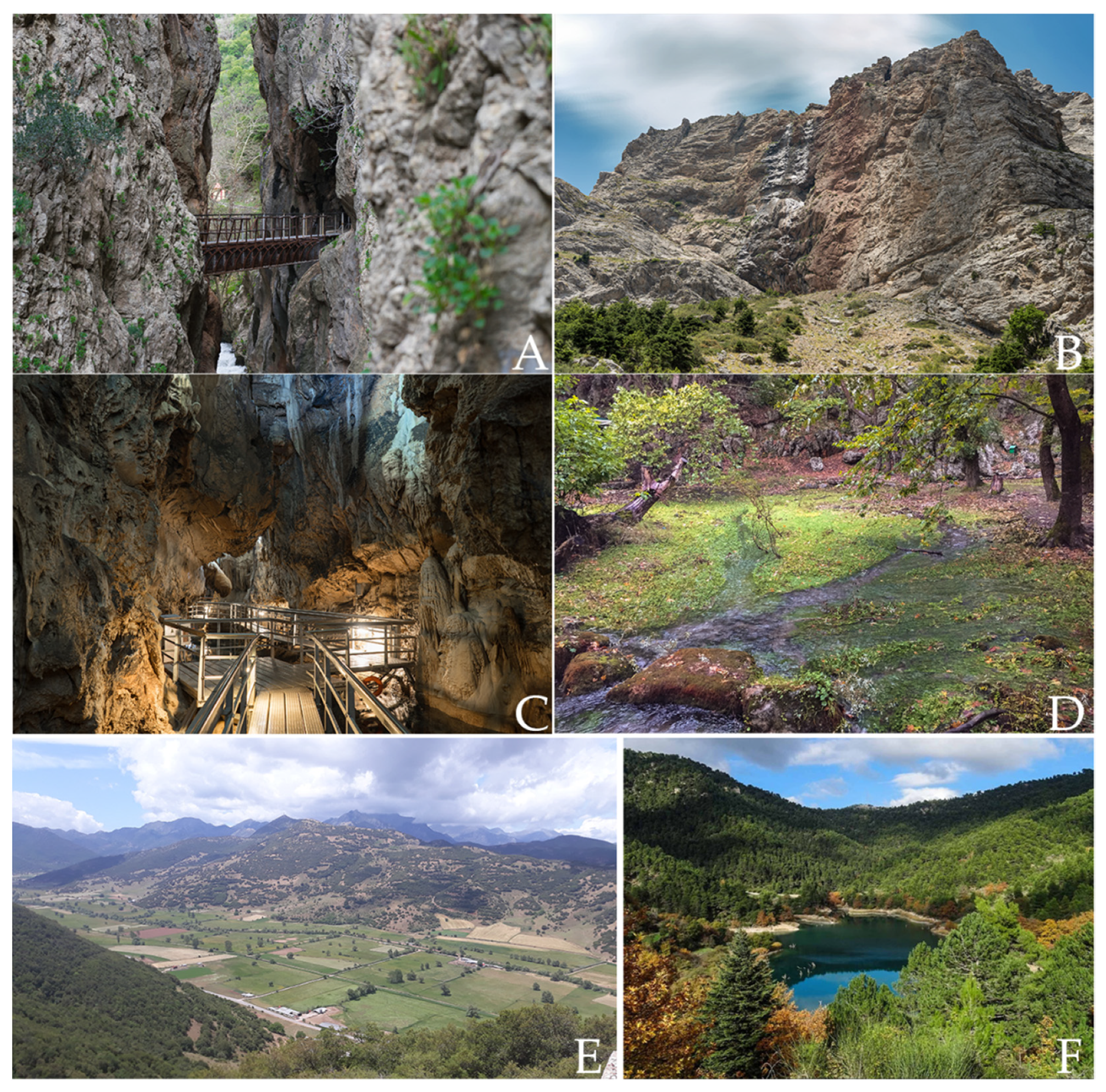 Geosciences 12 00063 g002