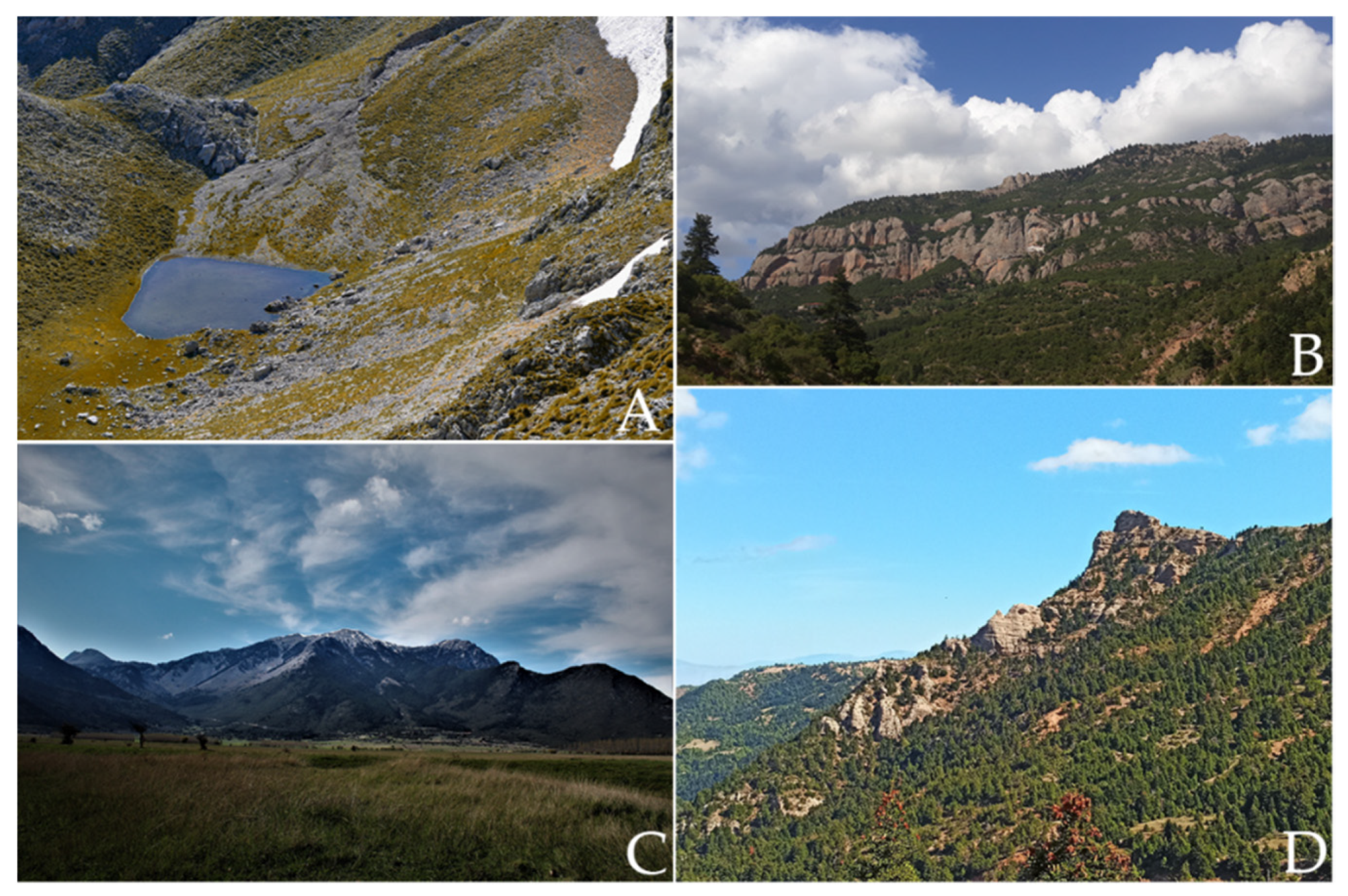 Geosciences 12 00063 g003