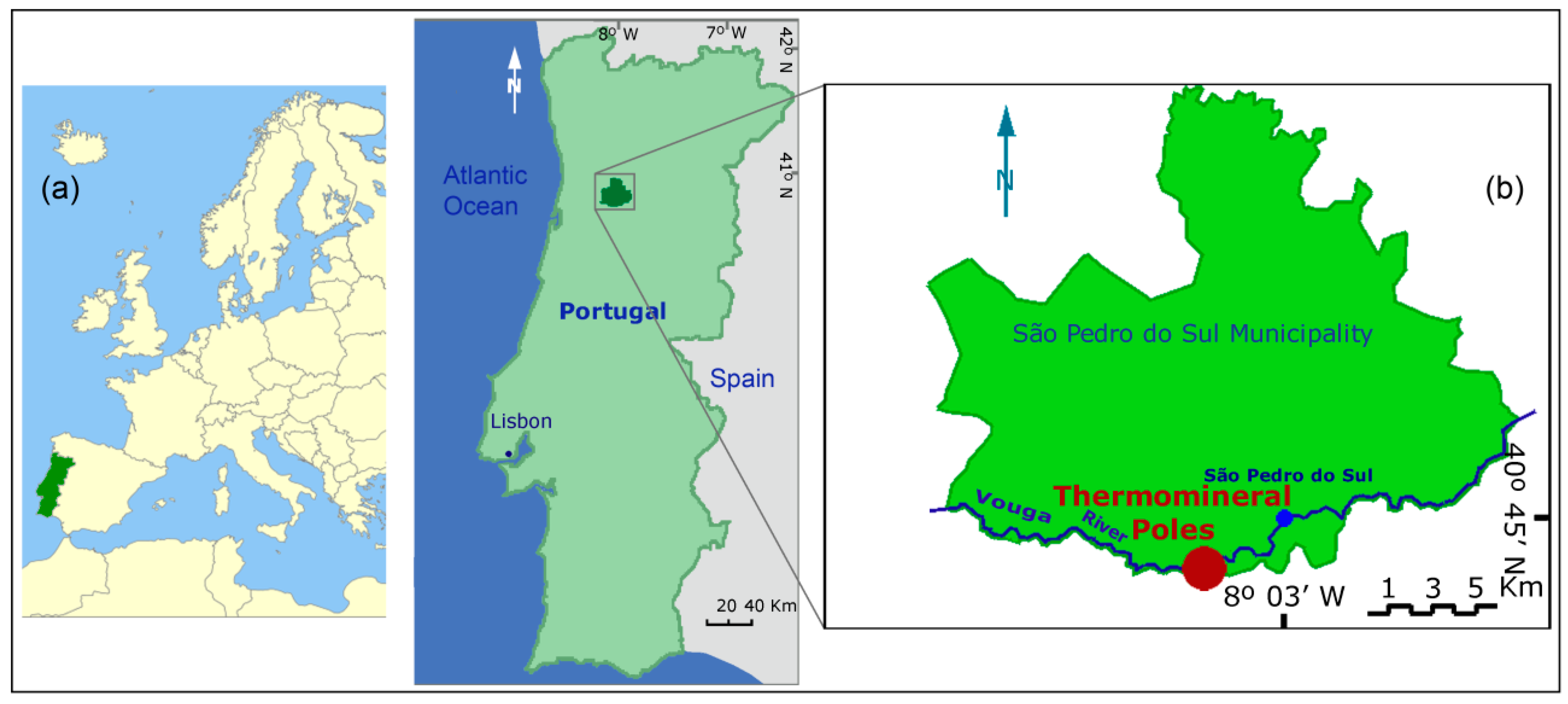 Notícias de São Pedro do Sul e Região