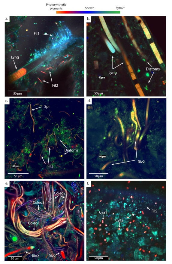 Geosciences 12 00088 g005