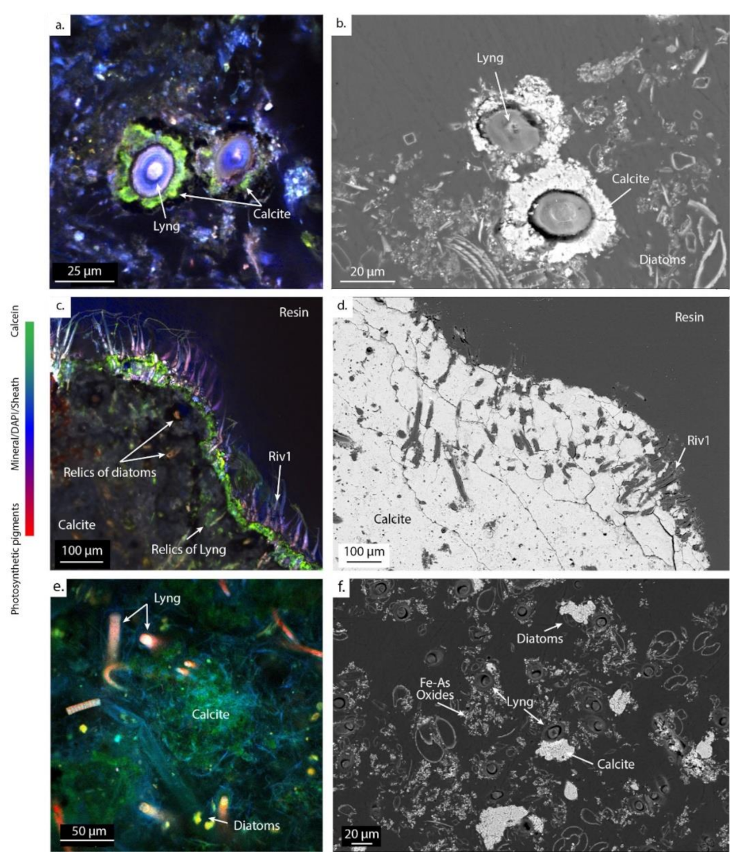 Geosciences 12 00088 g006