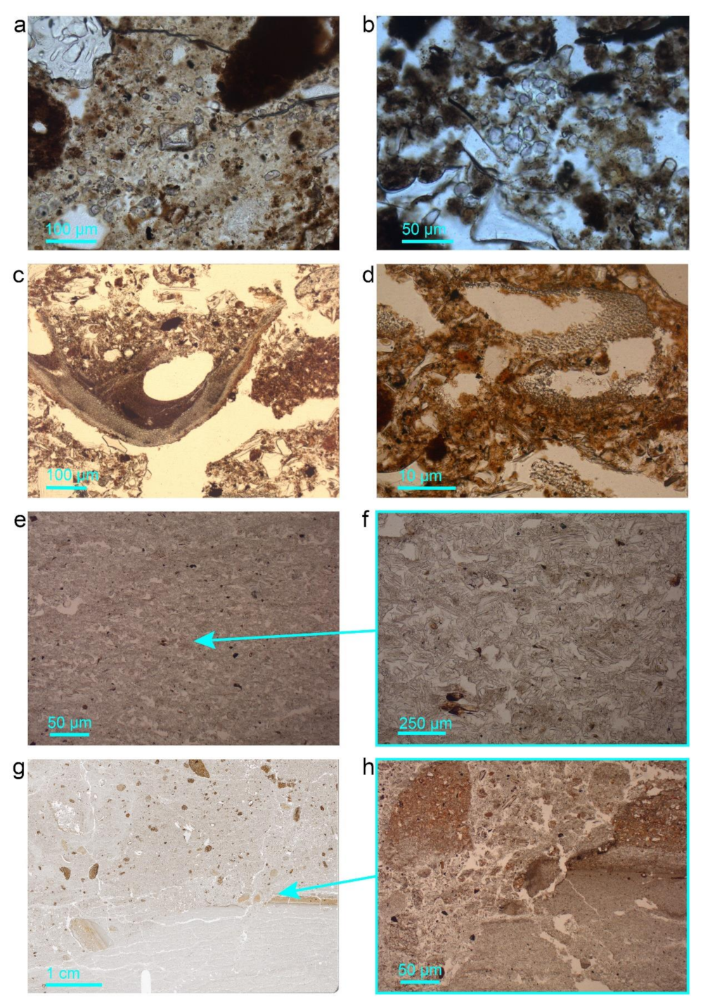 Geosciences 12 00092 g008