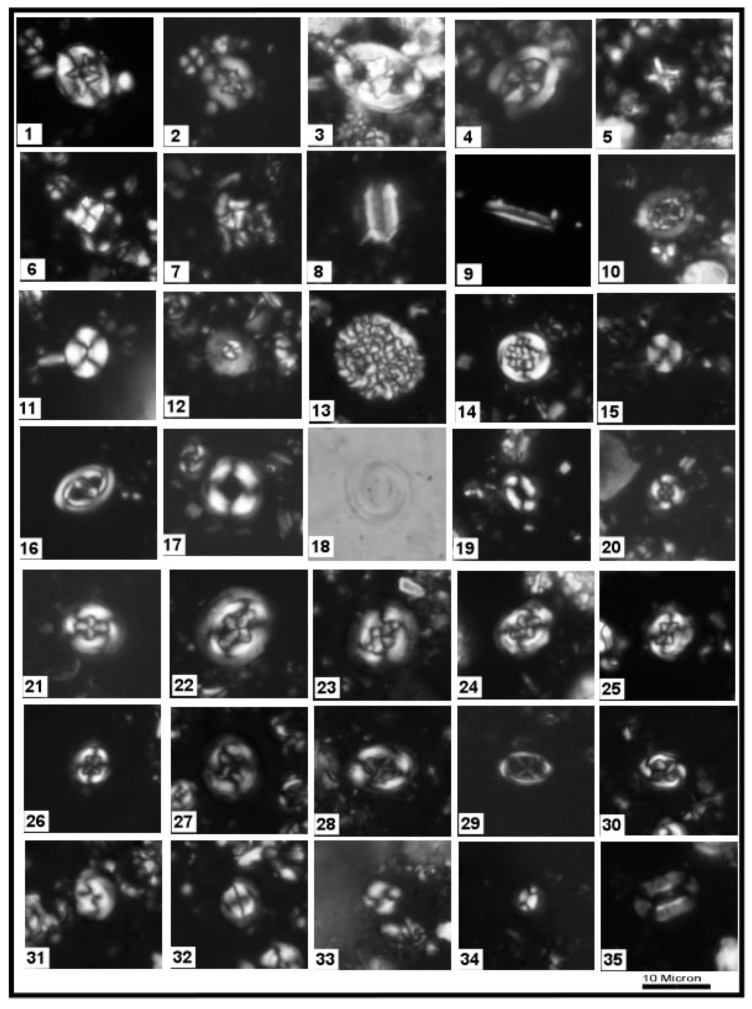 Geosciences 12 00096 sch001