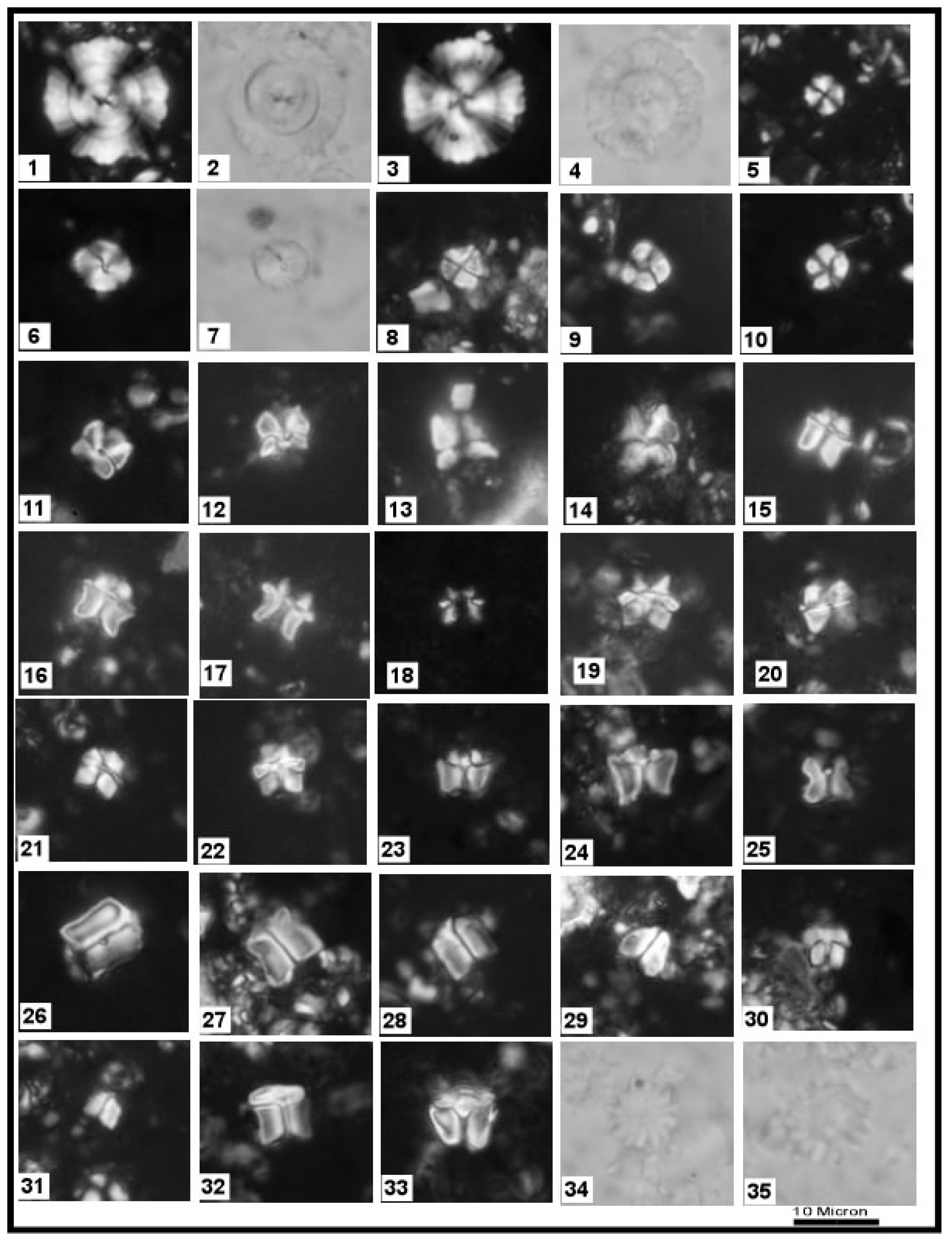 Geosciences 12 00096 sch002