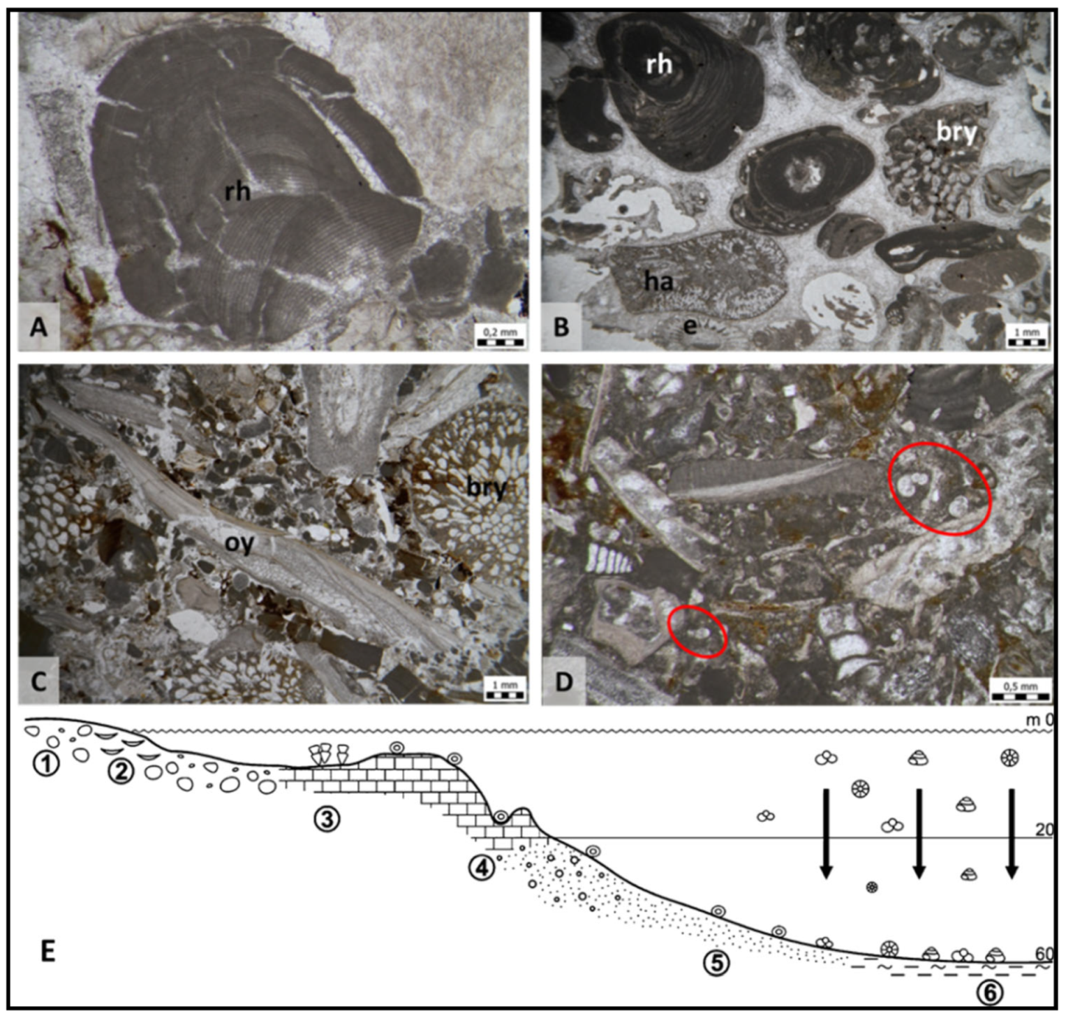Geosciences 12 00120 g011 550