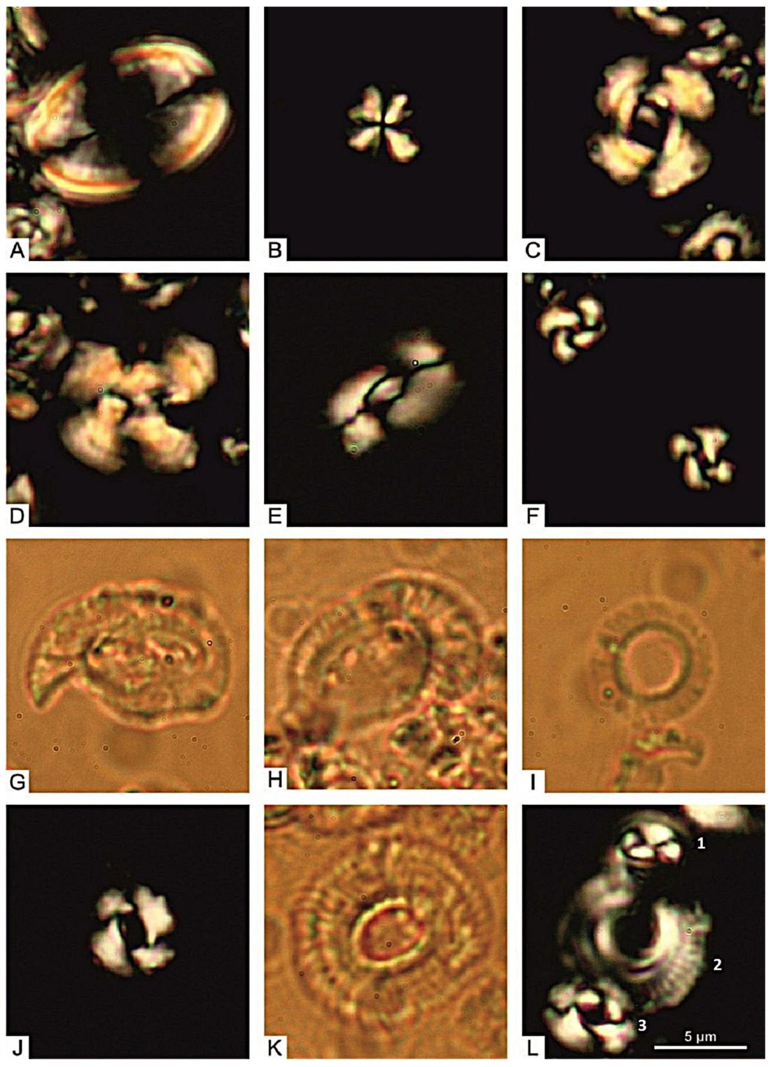 Geosciences 12 00120 g013 550