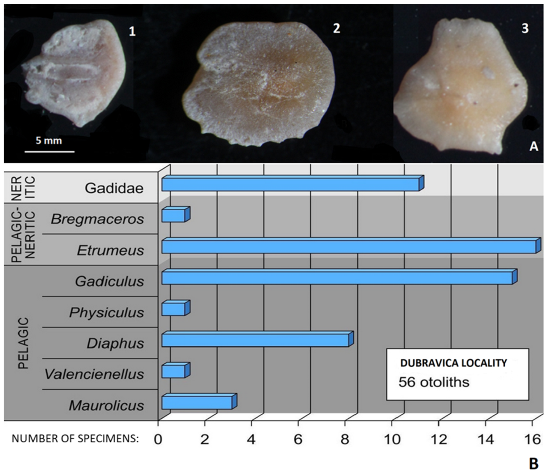 Geosciences 12 00120 g016 550