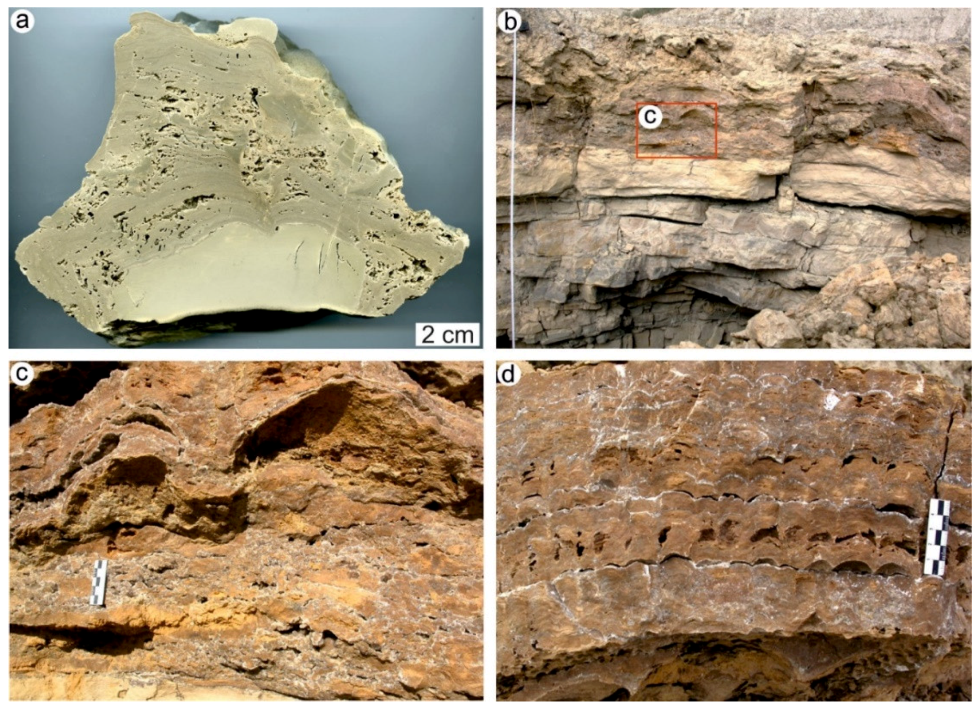 Geosciences 12 00133 g003 Geosciences 12 00133 g003