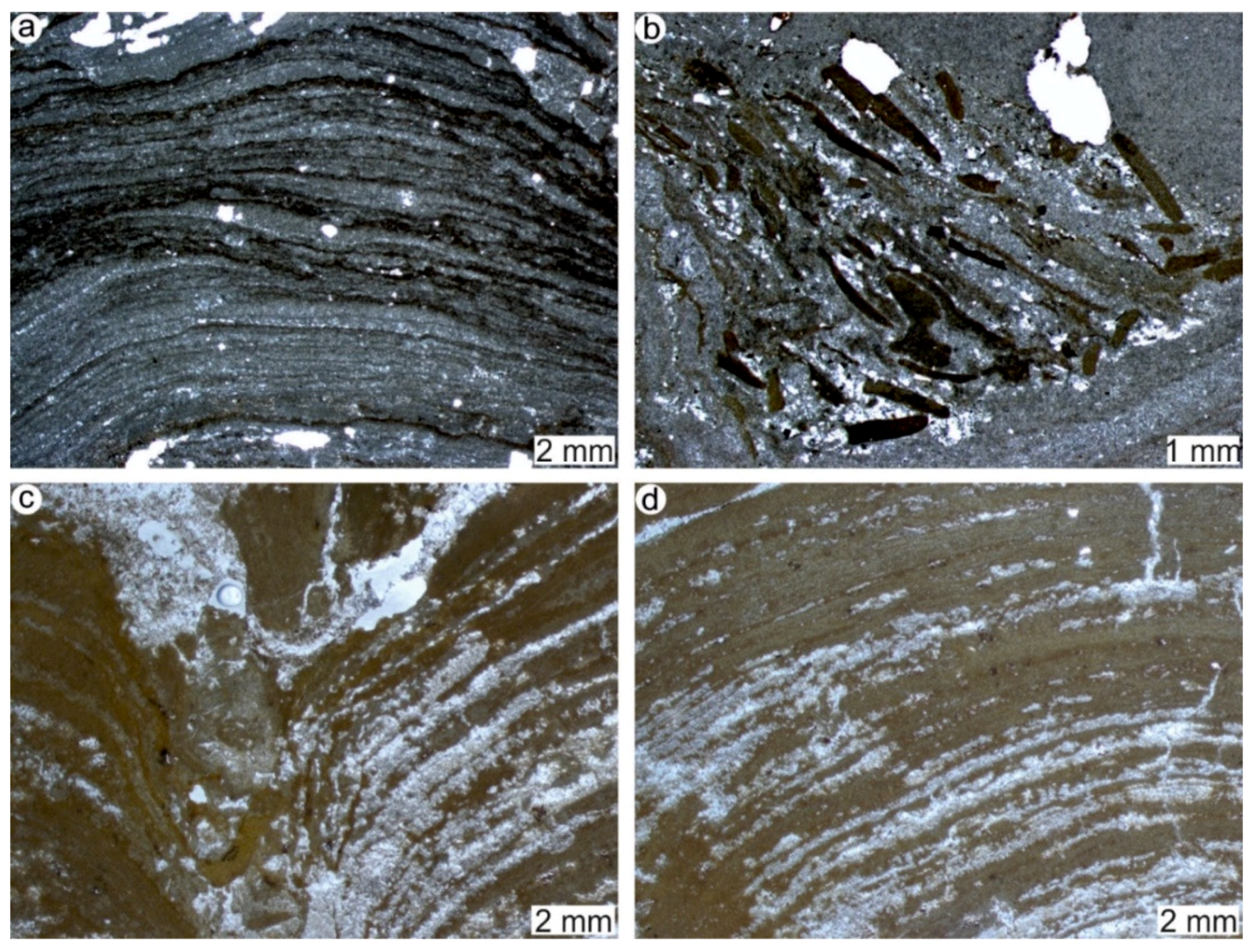 Geosciences 12 00133 g004 Geosciences 12 00133 g004