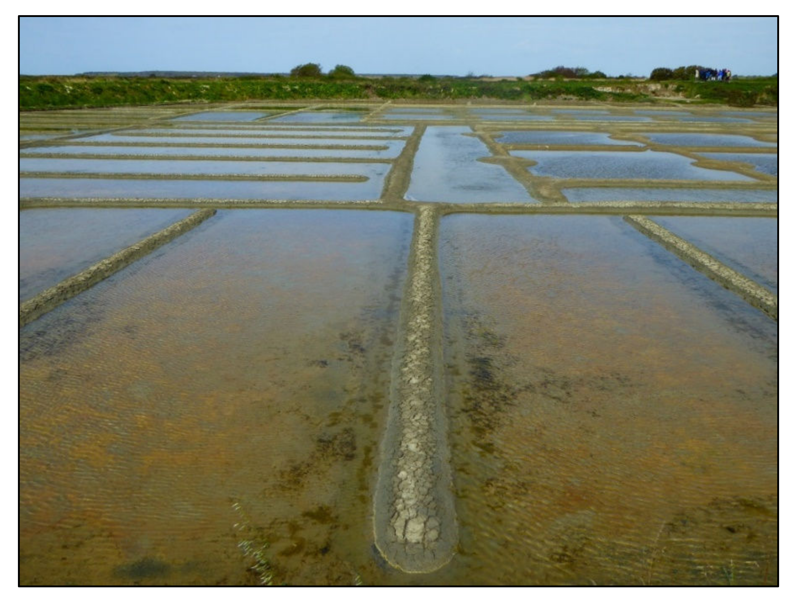 Geosciences 12 00141 g004 550