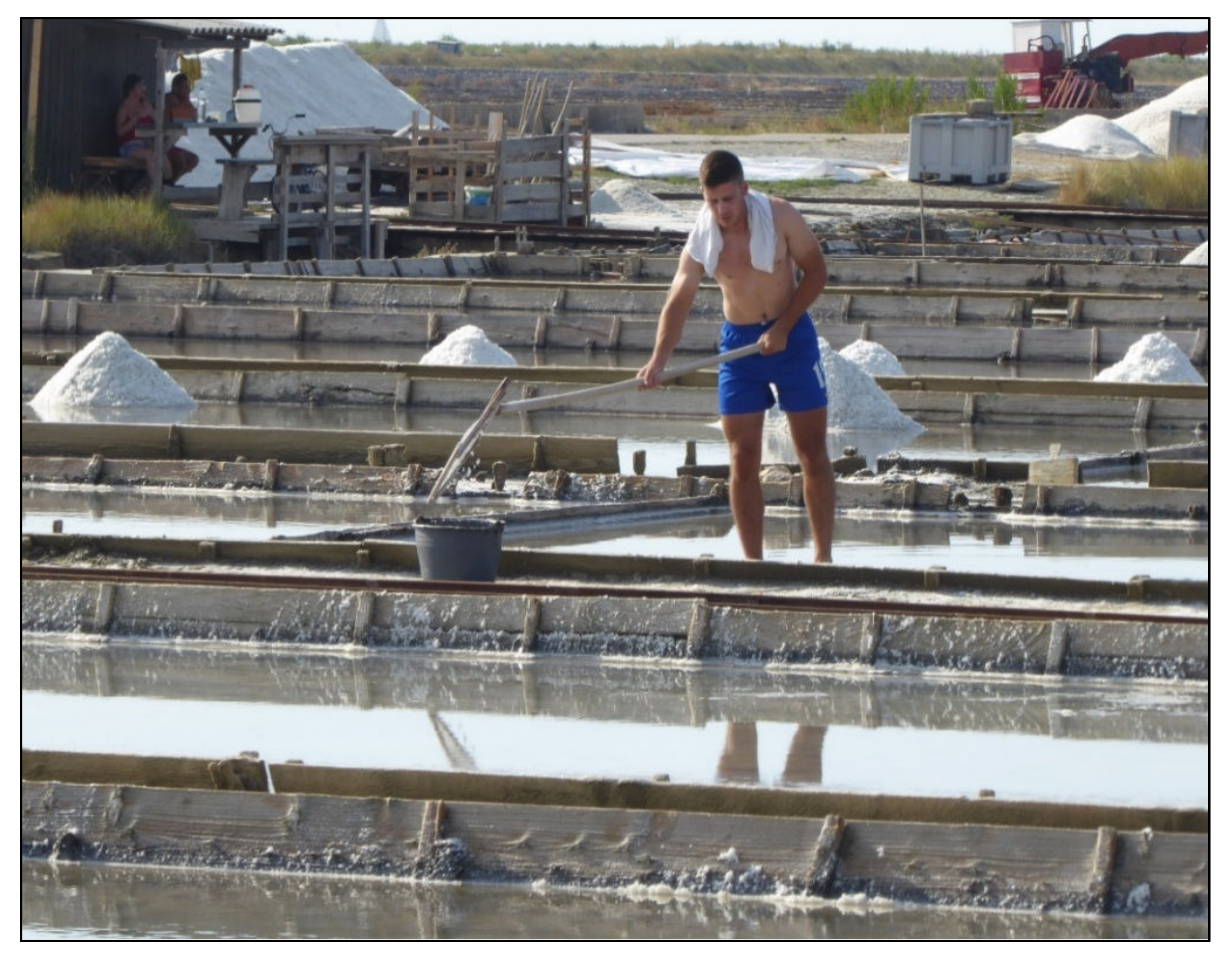 Geosciences 12 00141 g008 550