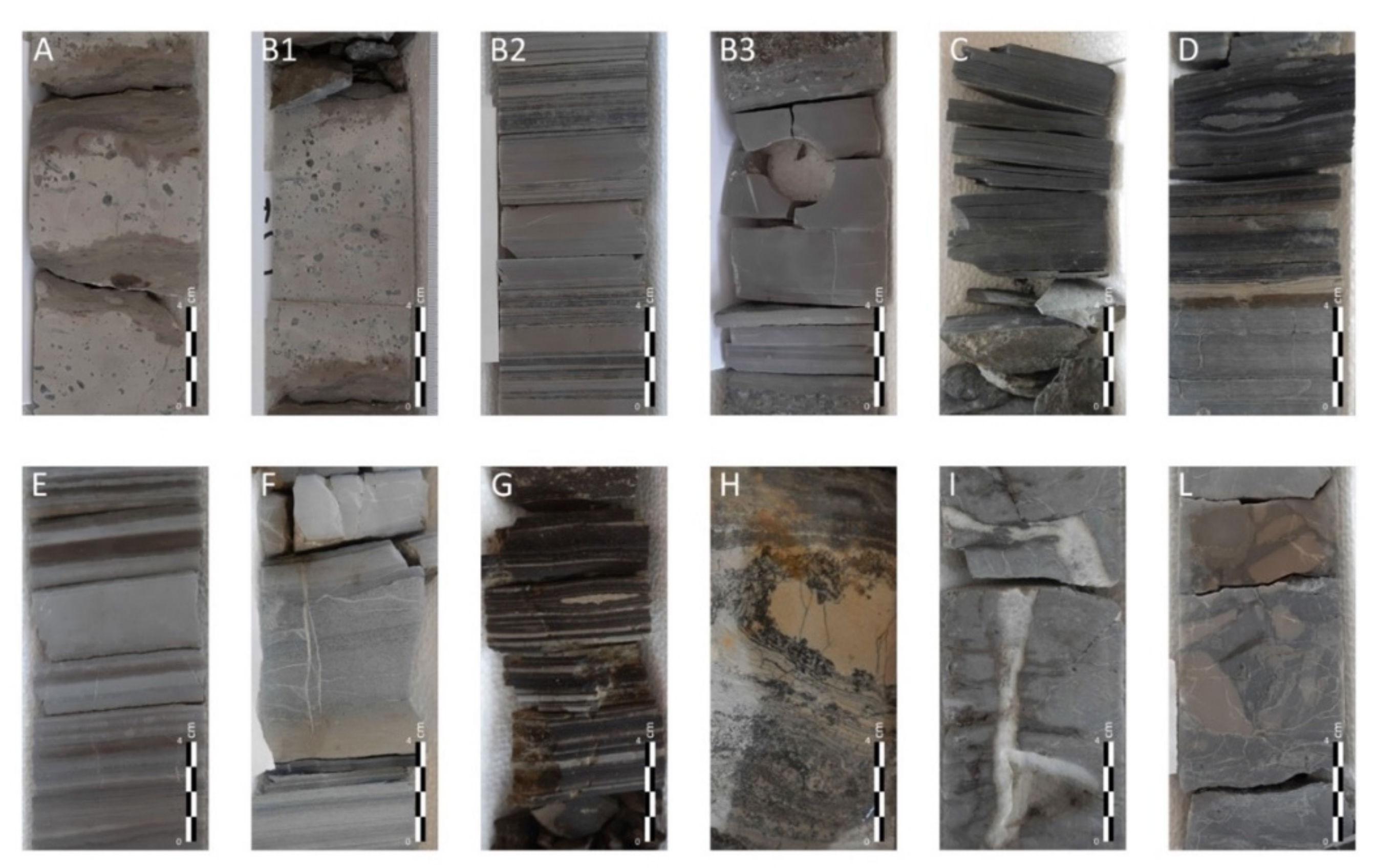 Geosciences 12 00149 g004 550