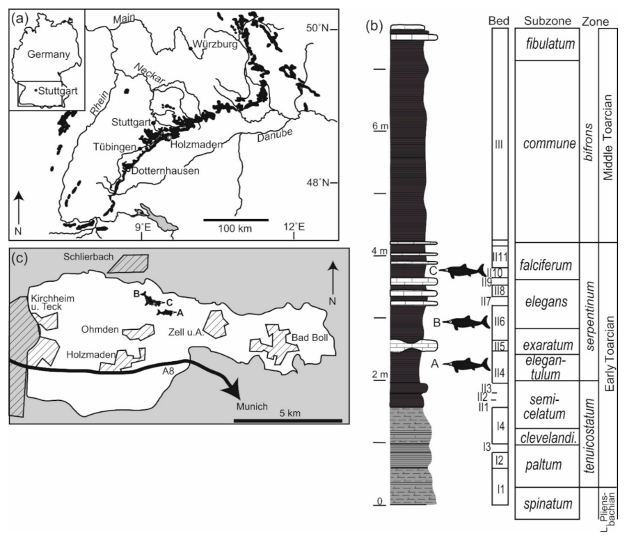 Geosciences 12 00158 g001 Geosciences 12 00158 g001