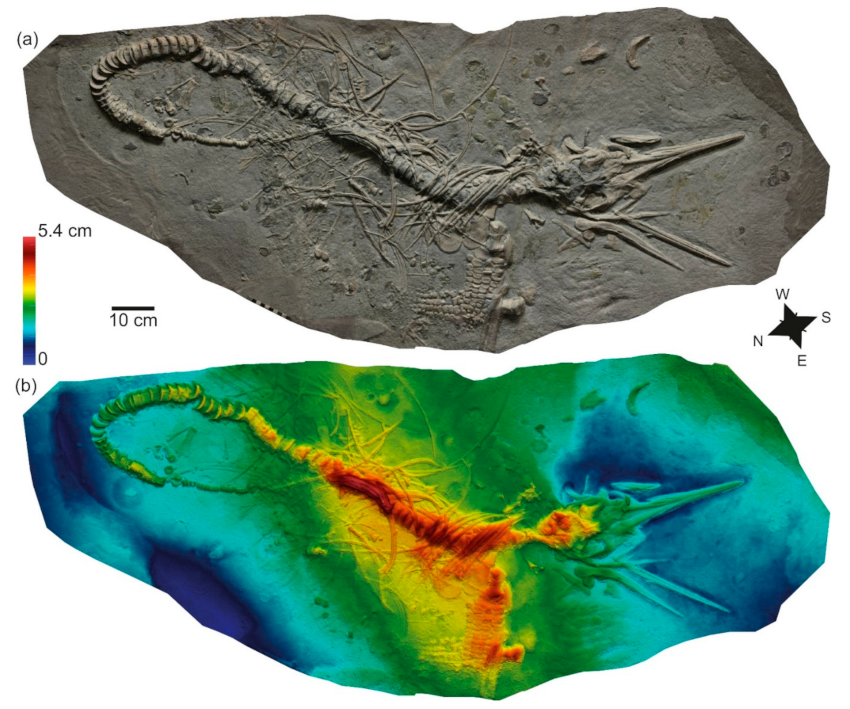 Geosciences 12 00158 g004 Geosciences 12 00158 g004