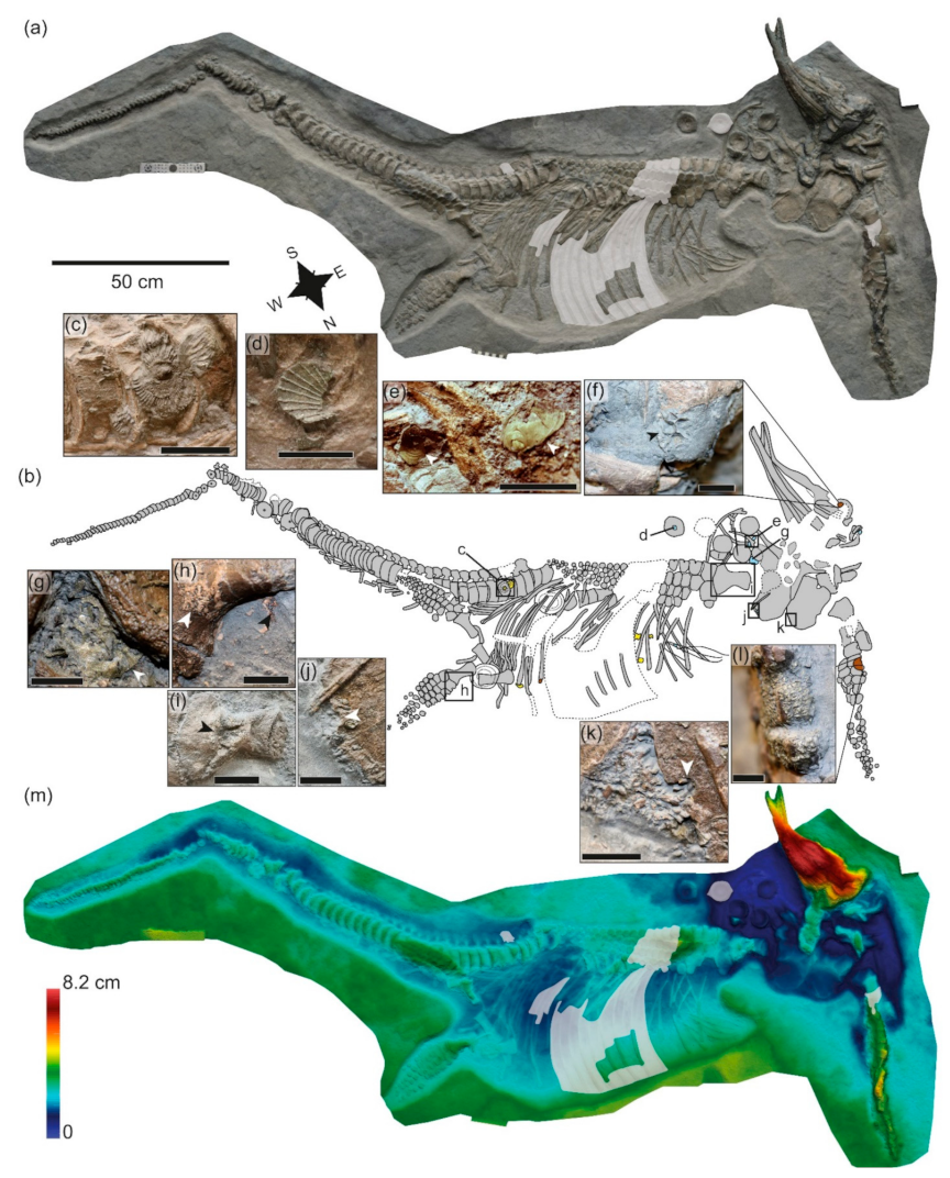 Geosciences 12 00158 g006 Geosciences 12 00158 g006