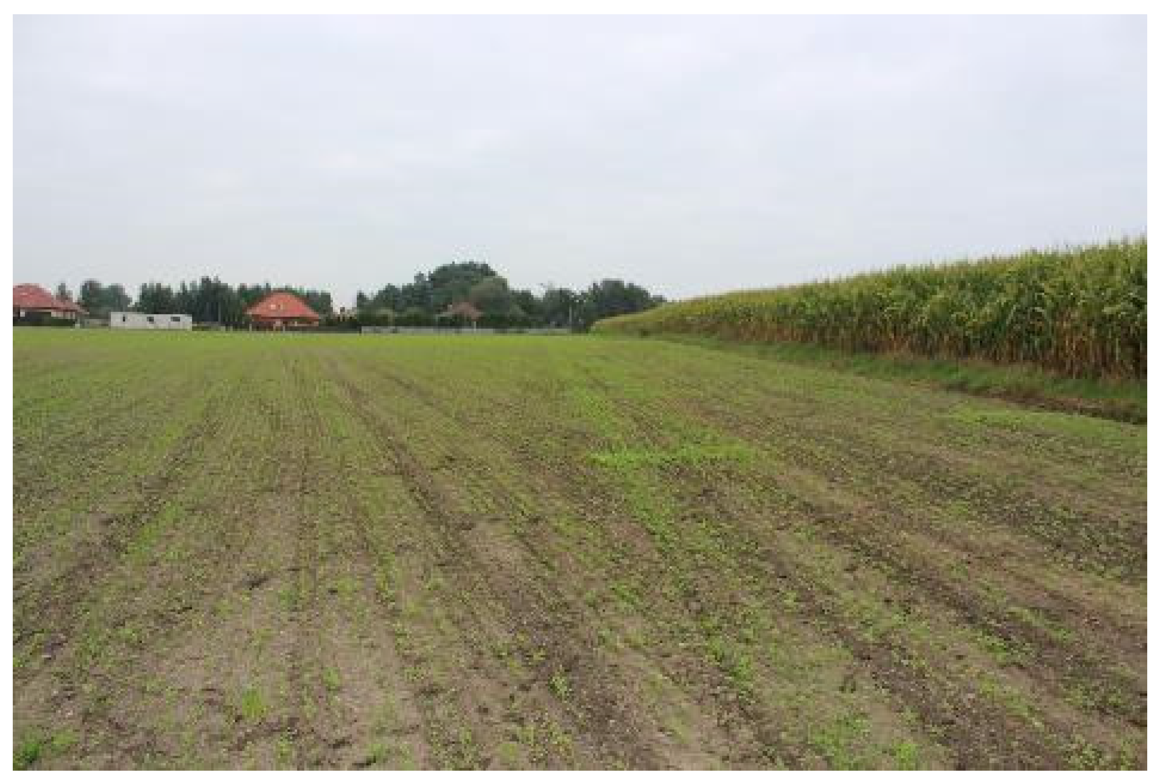 Geosciences 12 00159 g016 550