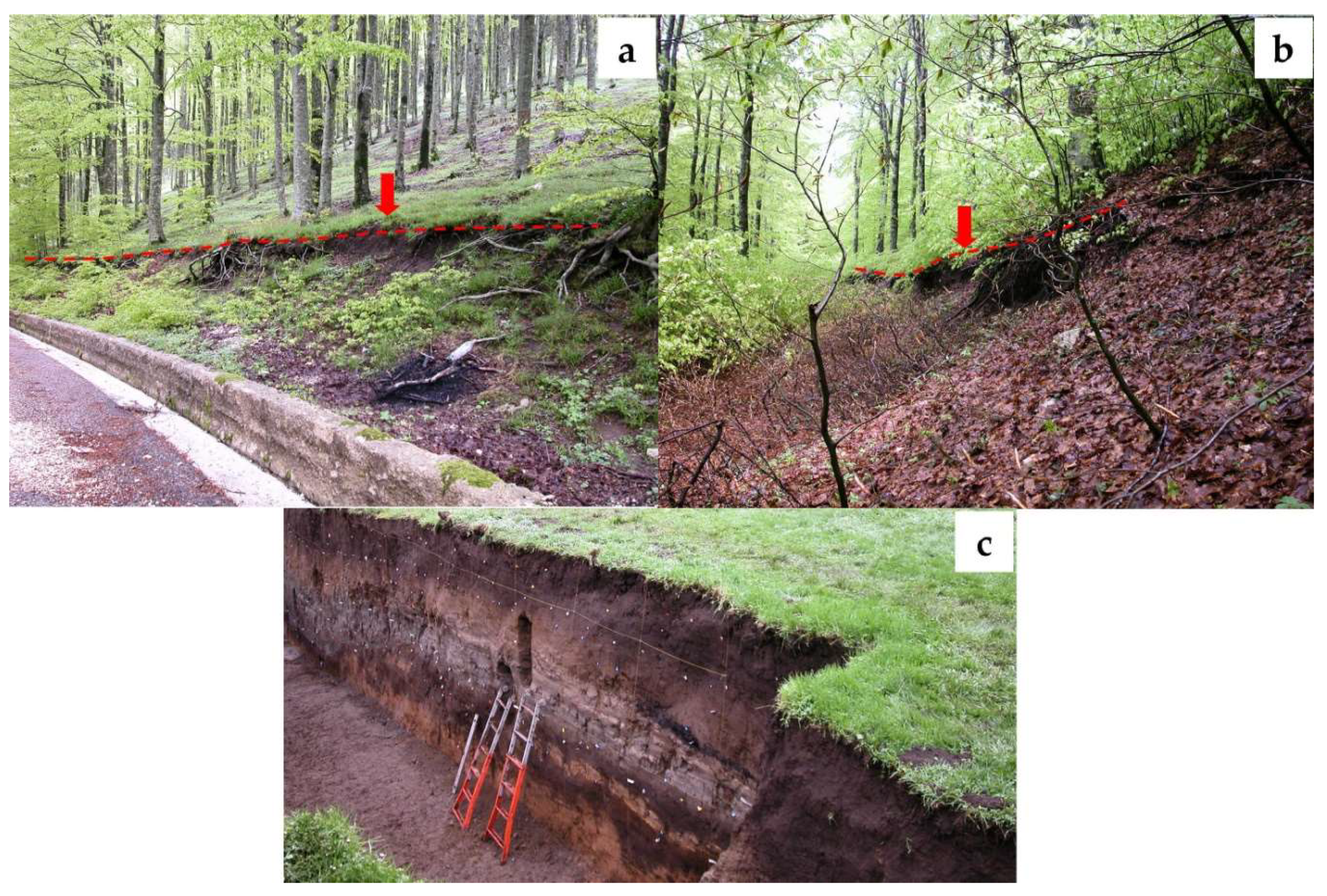 Geosciences 12 00173 g002 550