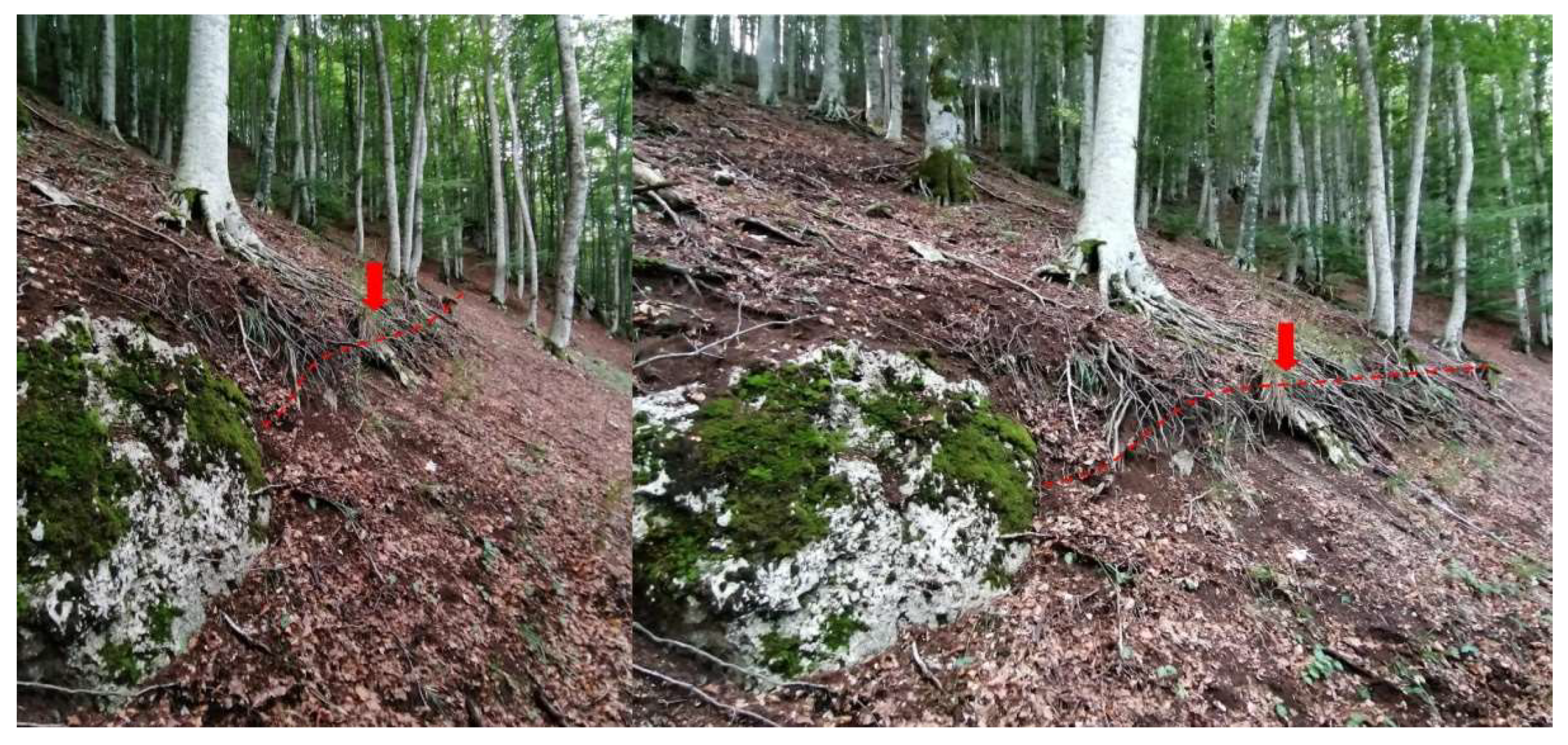 Geosciences 12 00173 g003 550