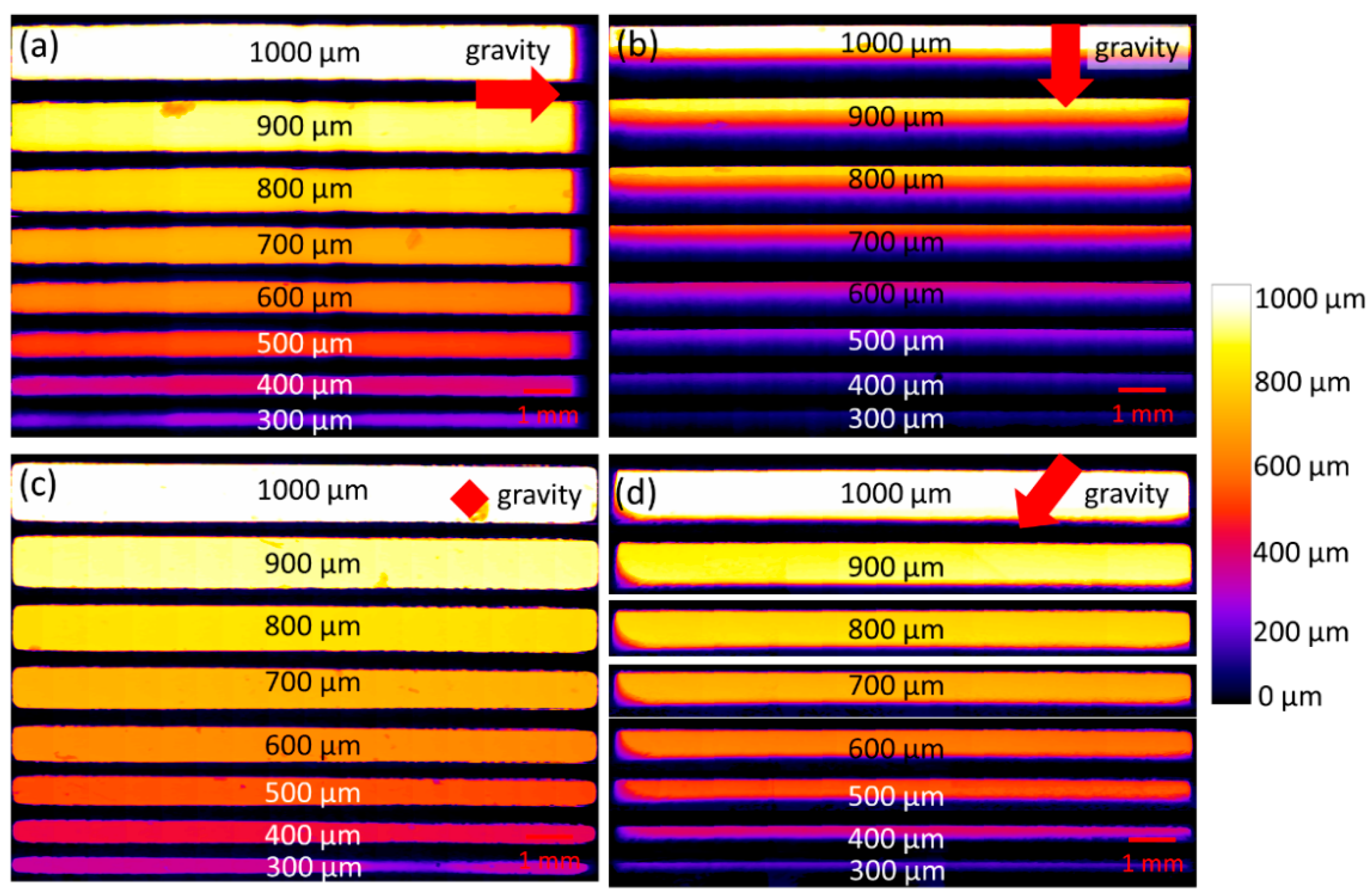 Geosciences 12 00183 g010