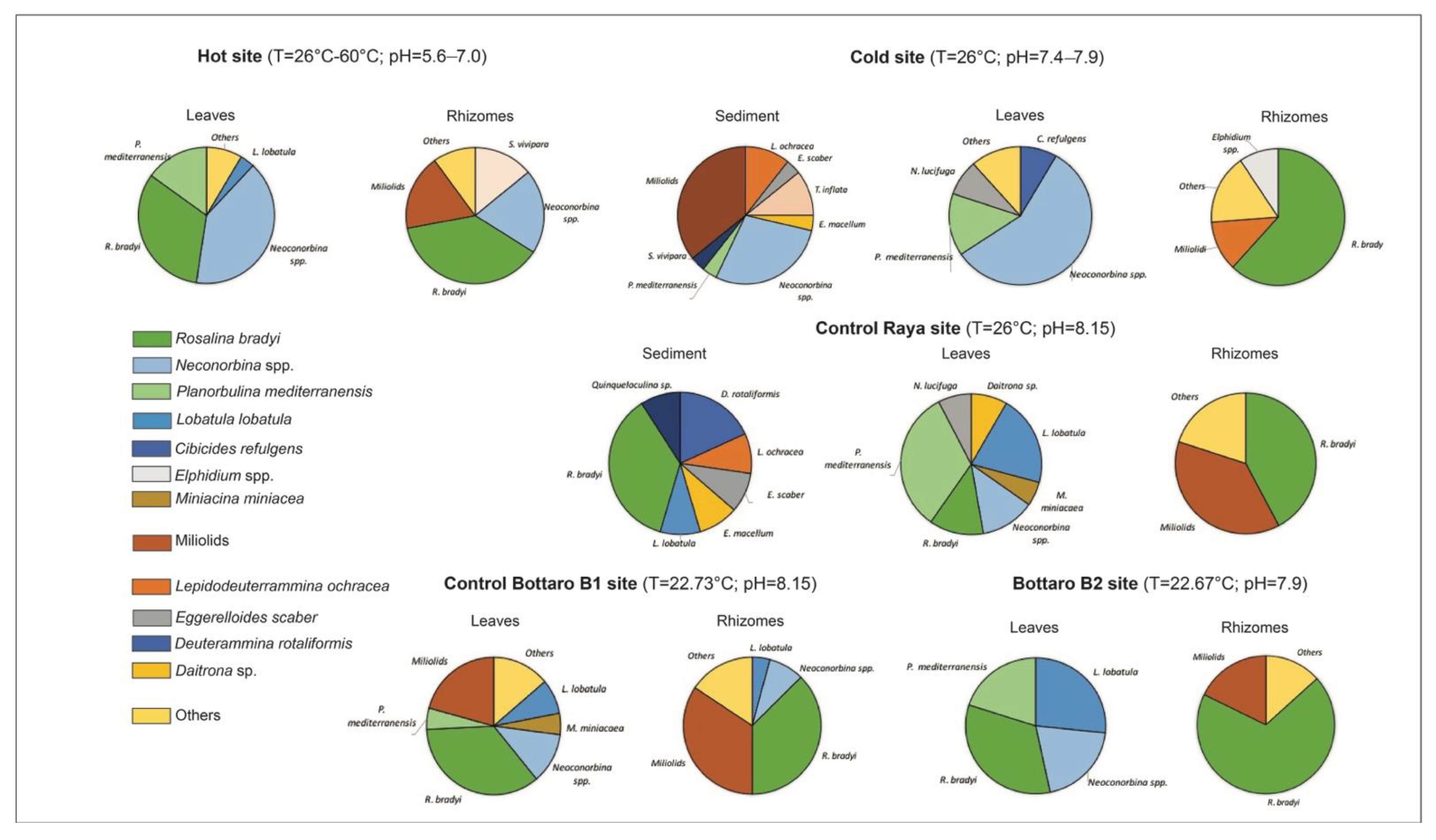 Geosciences 12 00184 g006