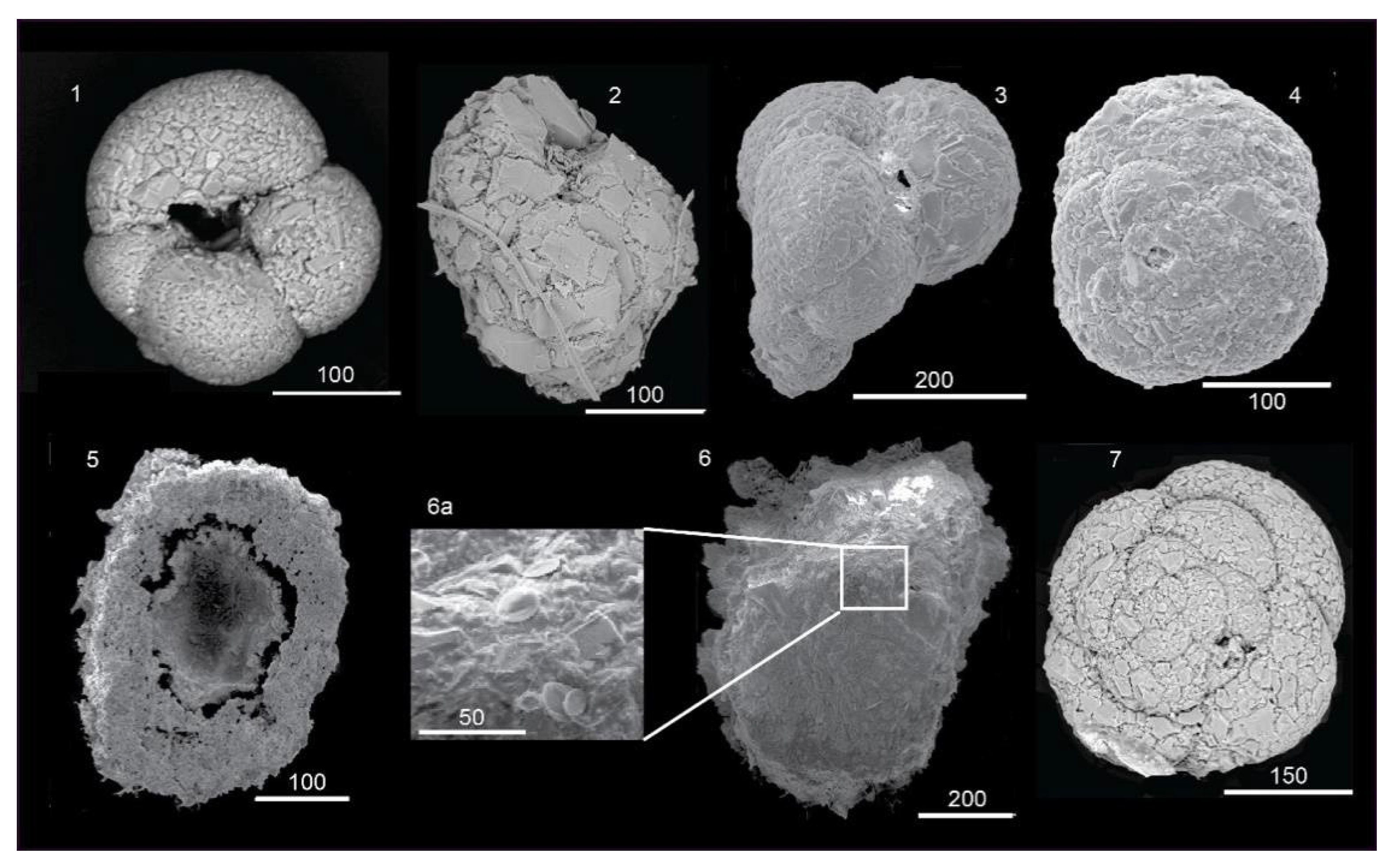 Geosciences 12 00184 g008