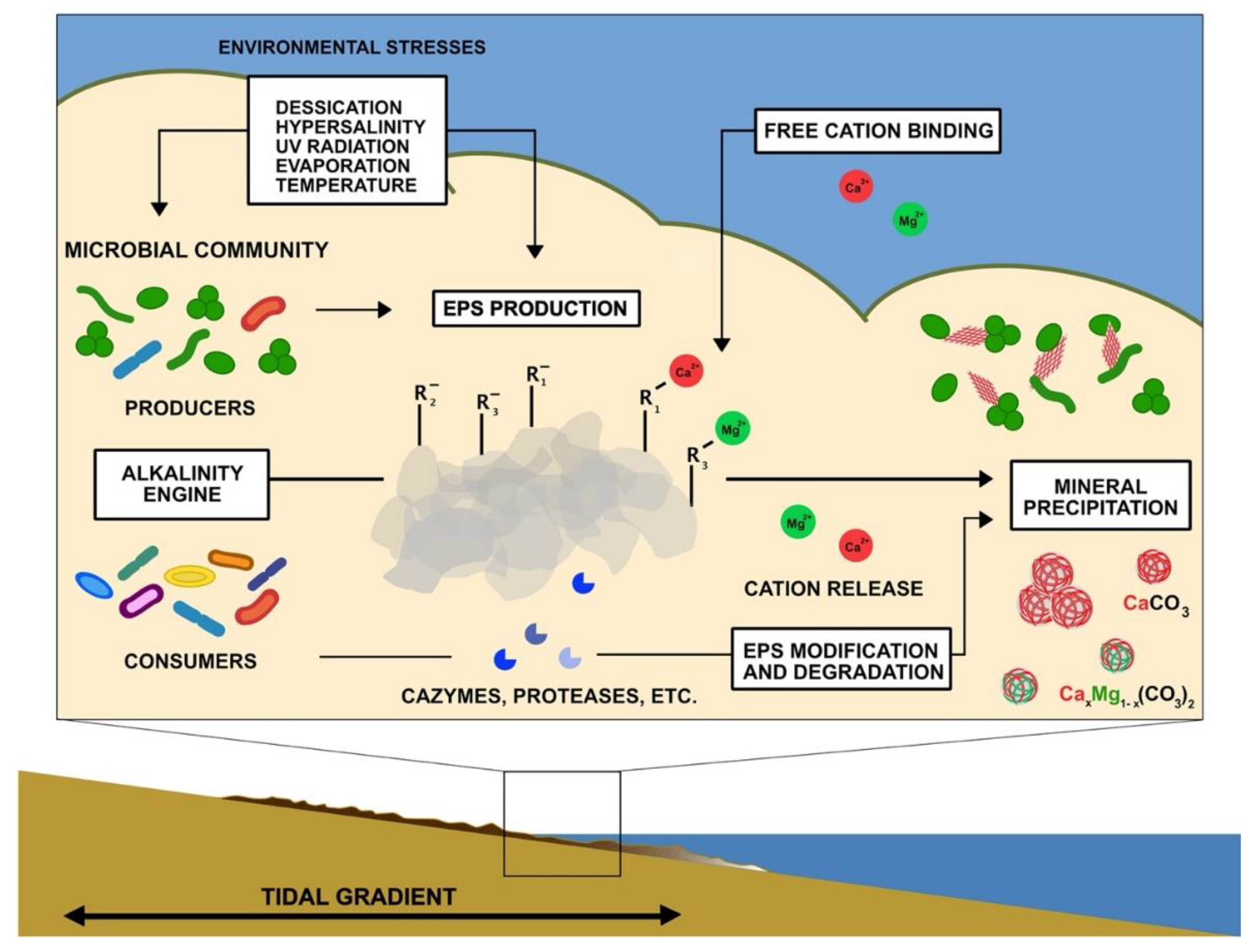 Geosciences 12 00185 g003 Geosciences 12 00185 g003