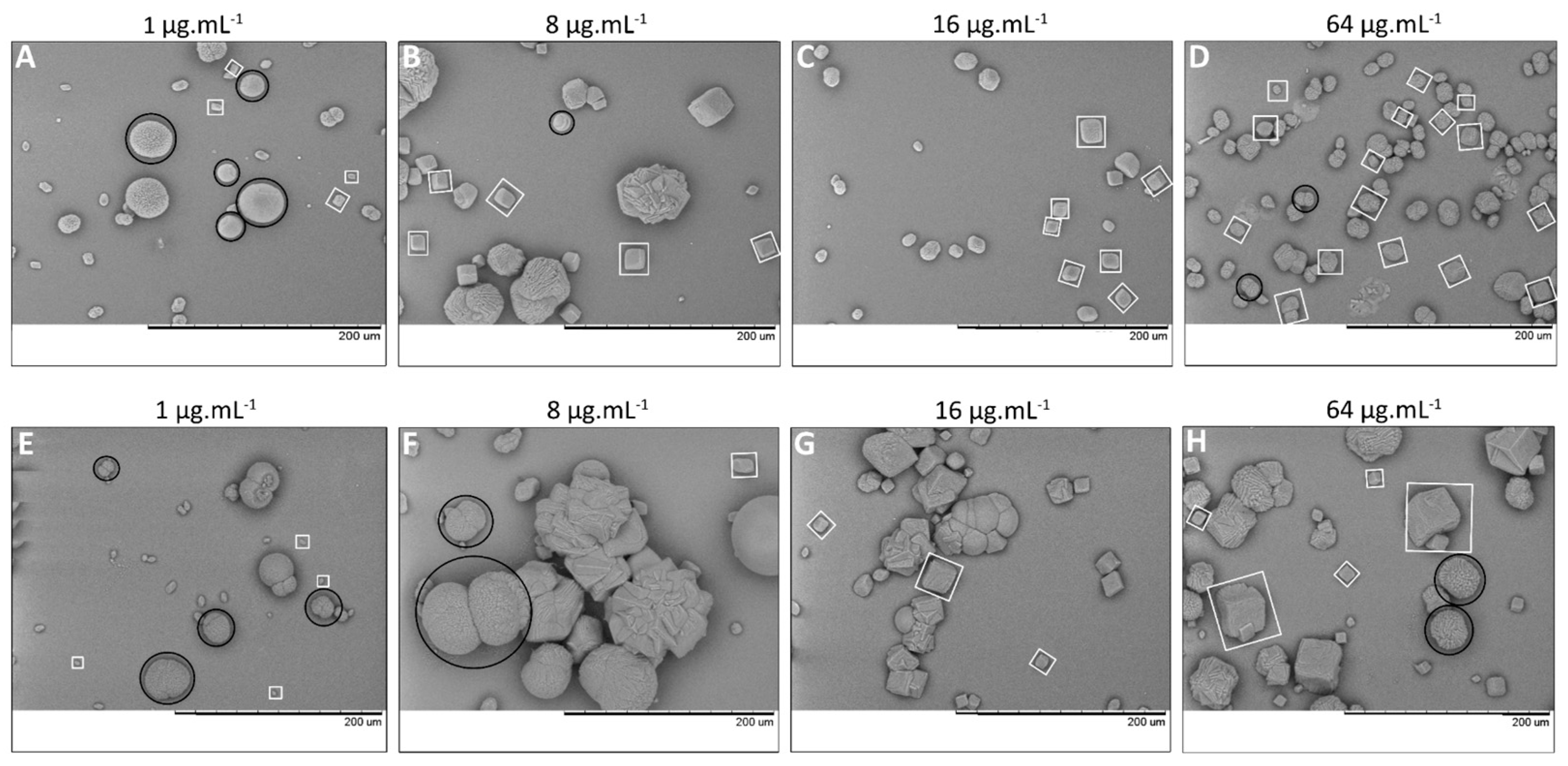 Geosciences 12 00210 g005