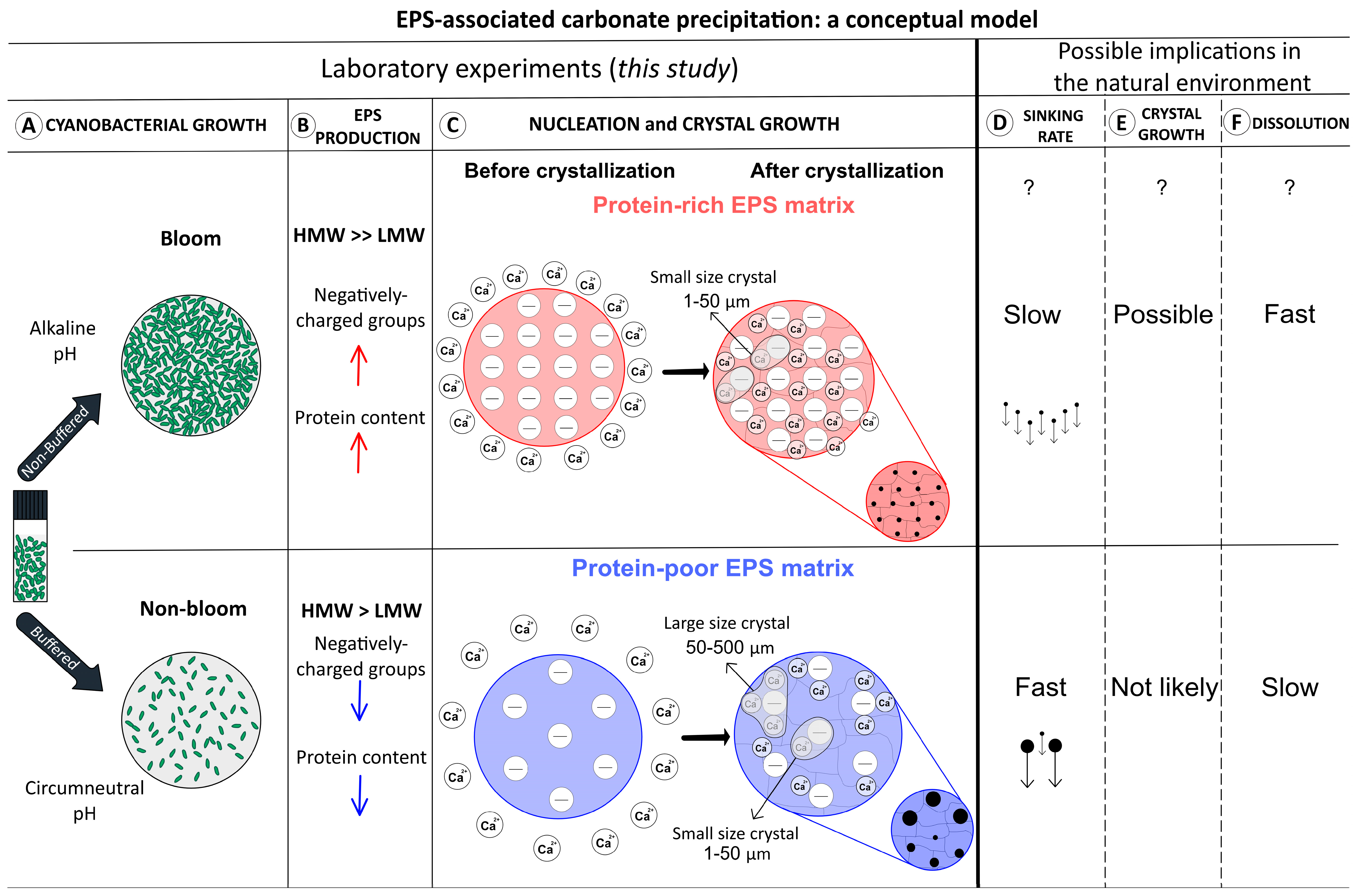 Geosciences 12 00210 g009