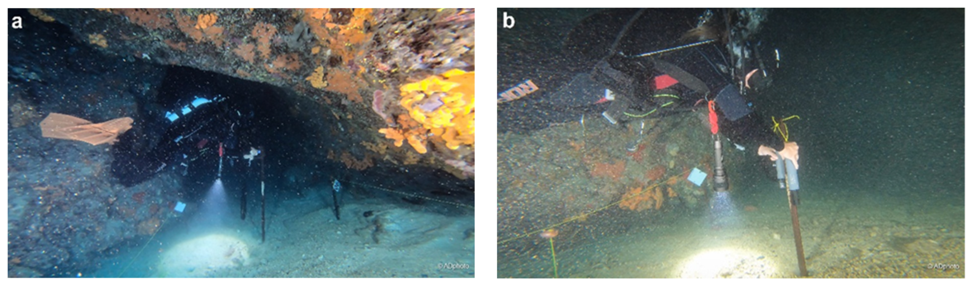 Geosciences 12 00213 g002 550