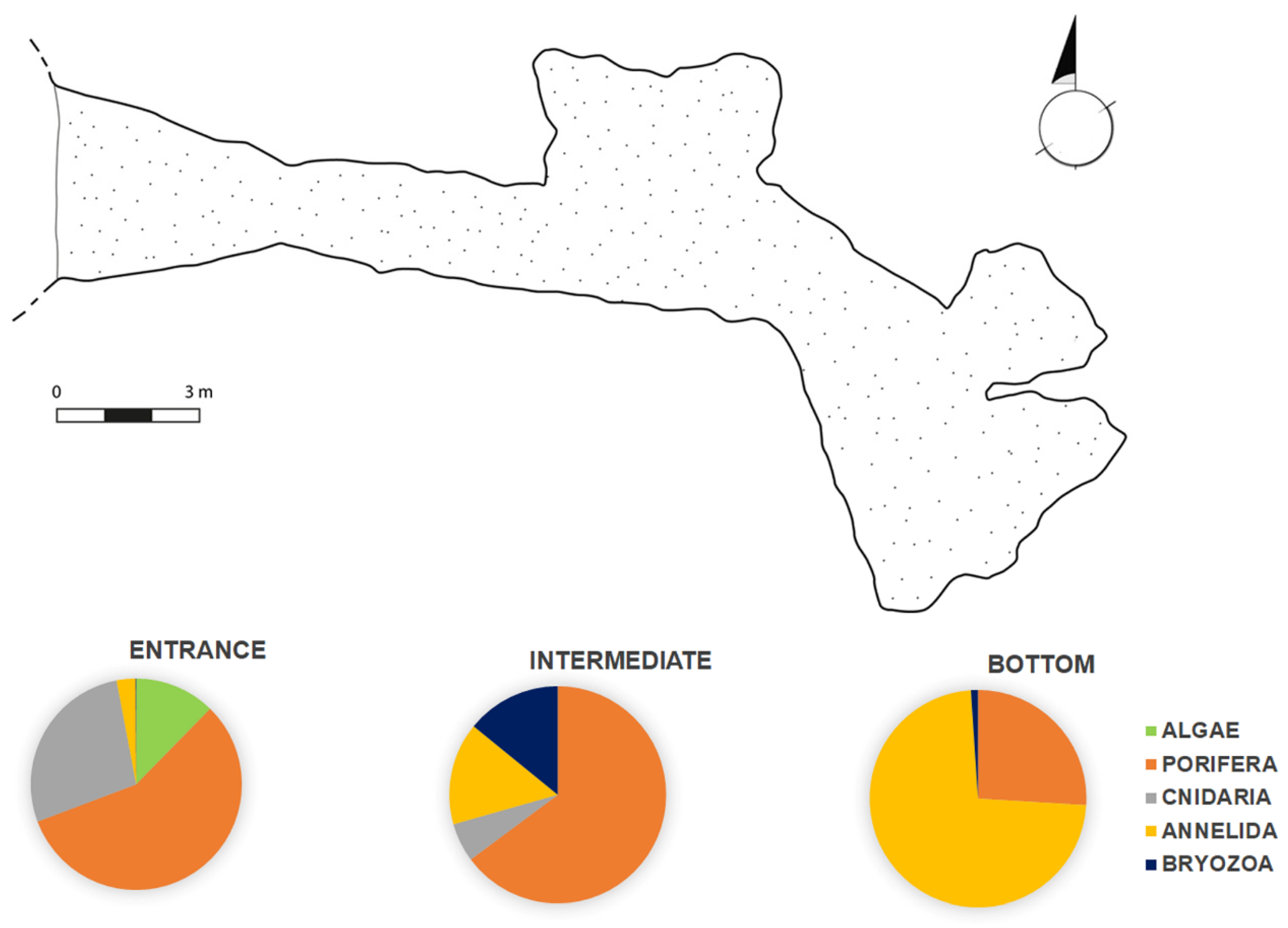 Geosciences 12 00213 g004 550