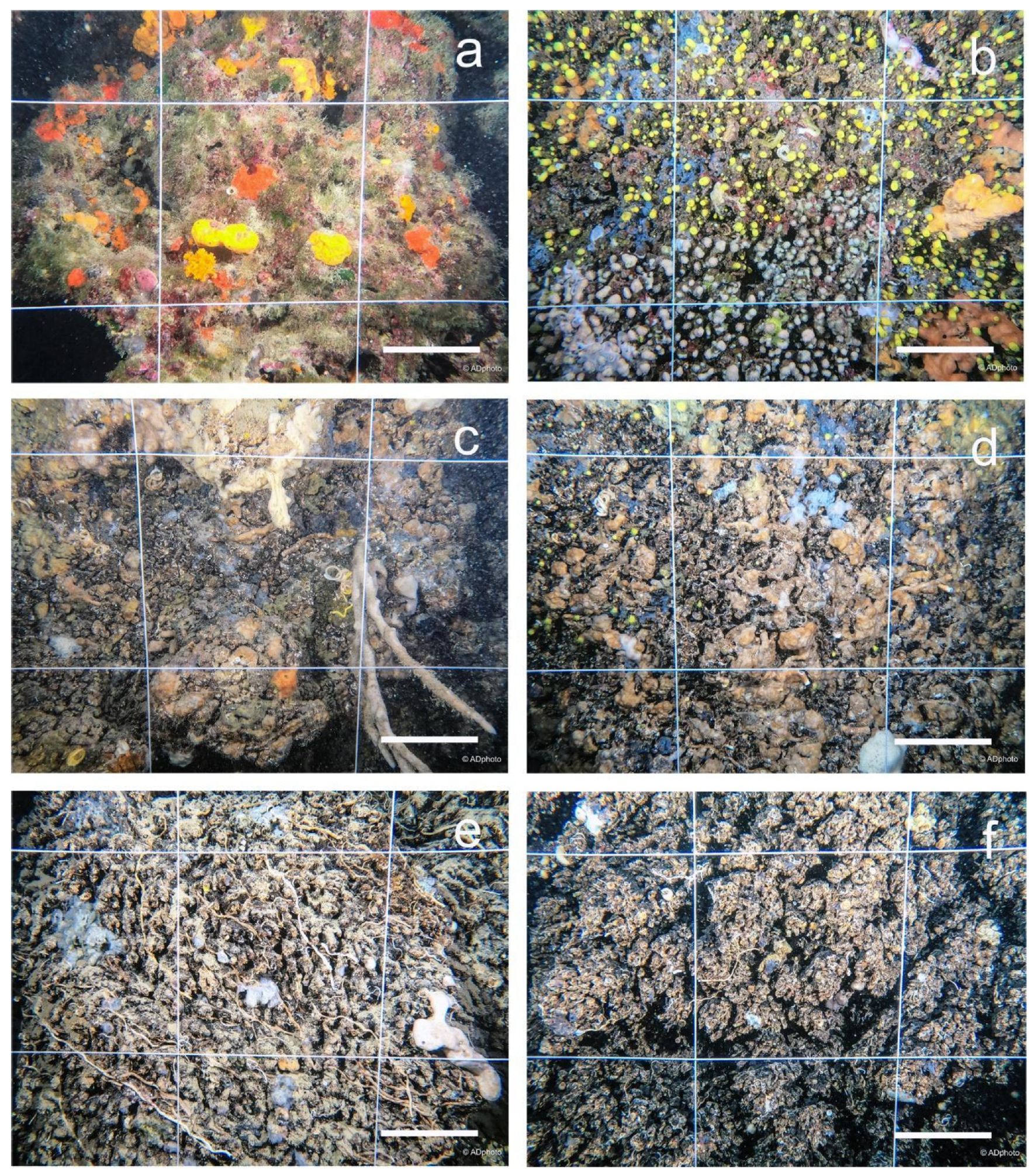 Geosciences 12 00213 g006 550