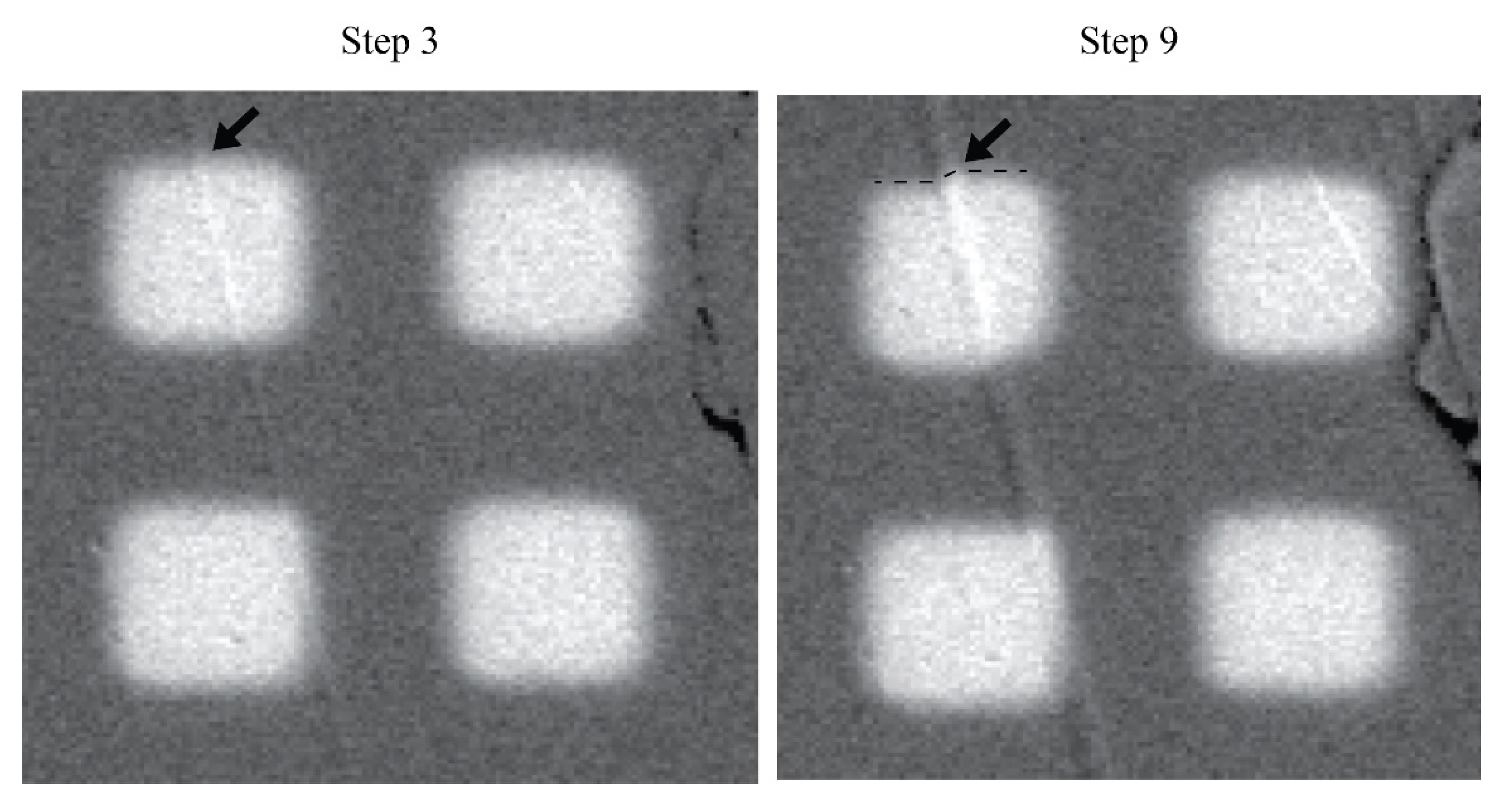 Geosciences 12 00233 g009
