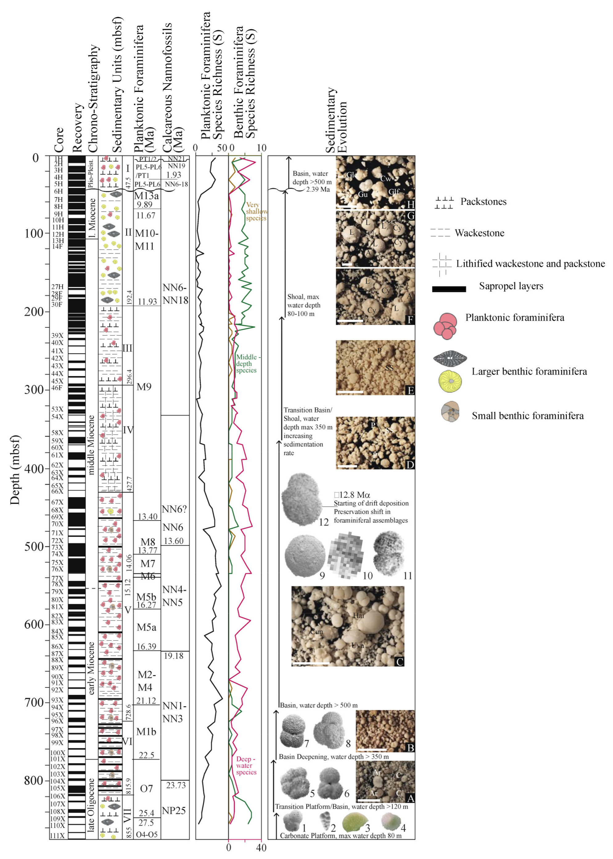 Geosciences 12 00239 g004
