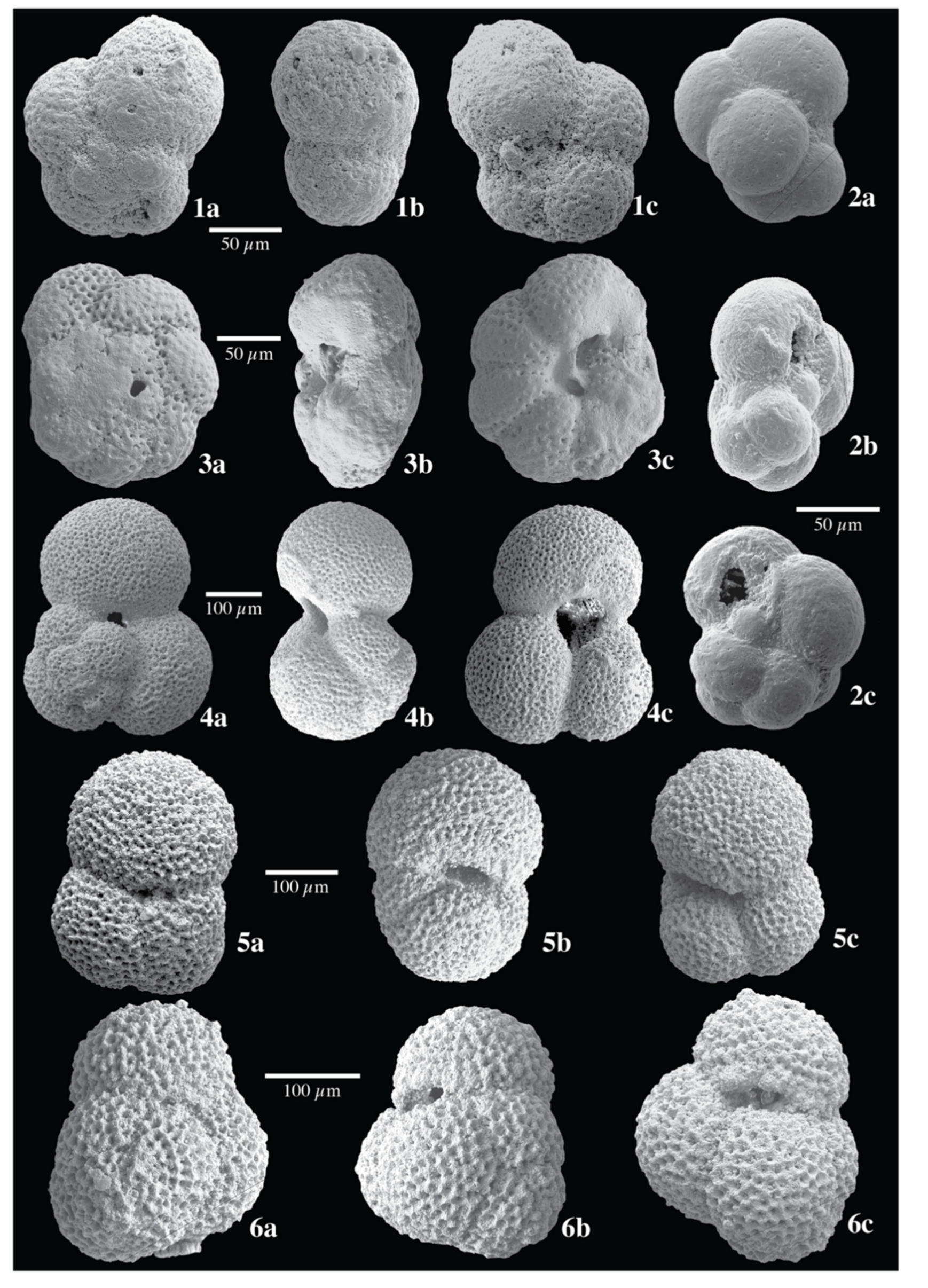 Geosciences 12 00239 sch001