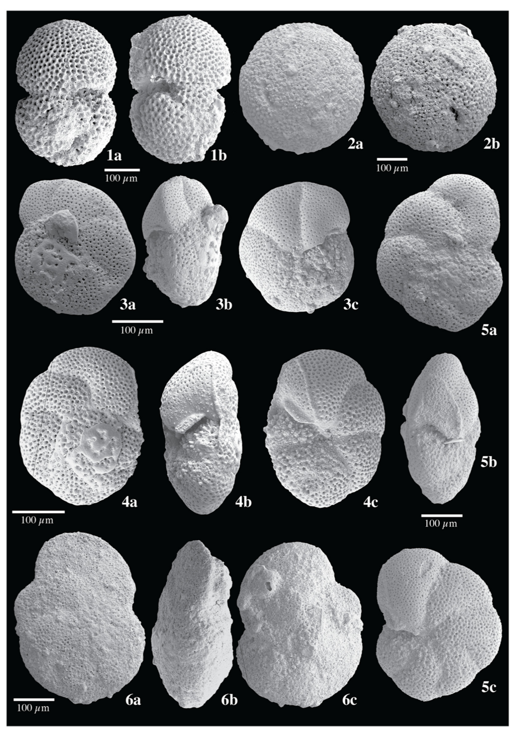 Geosciences 12 00239 sch002