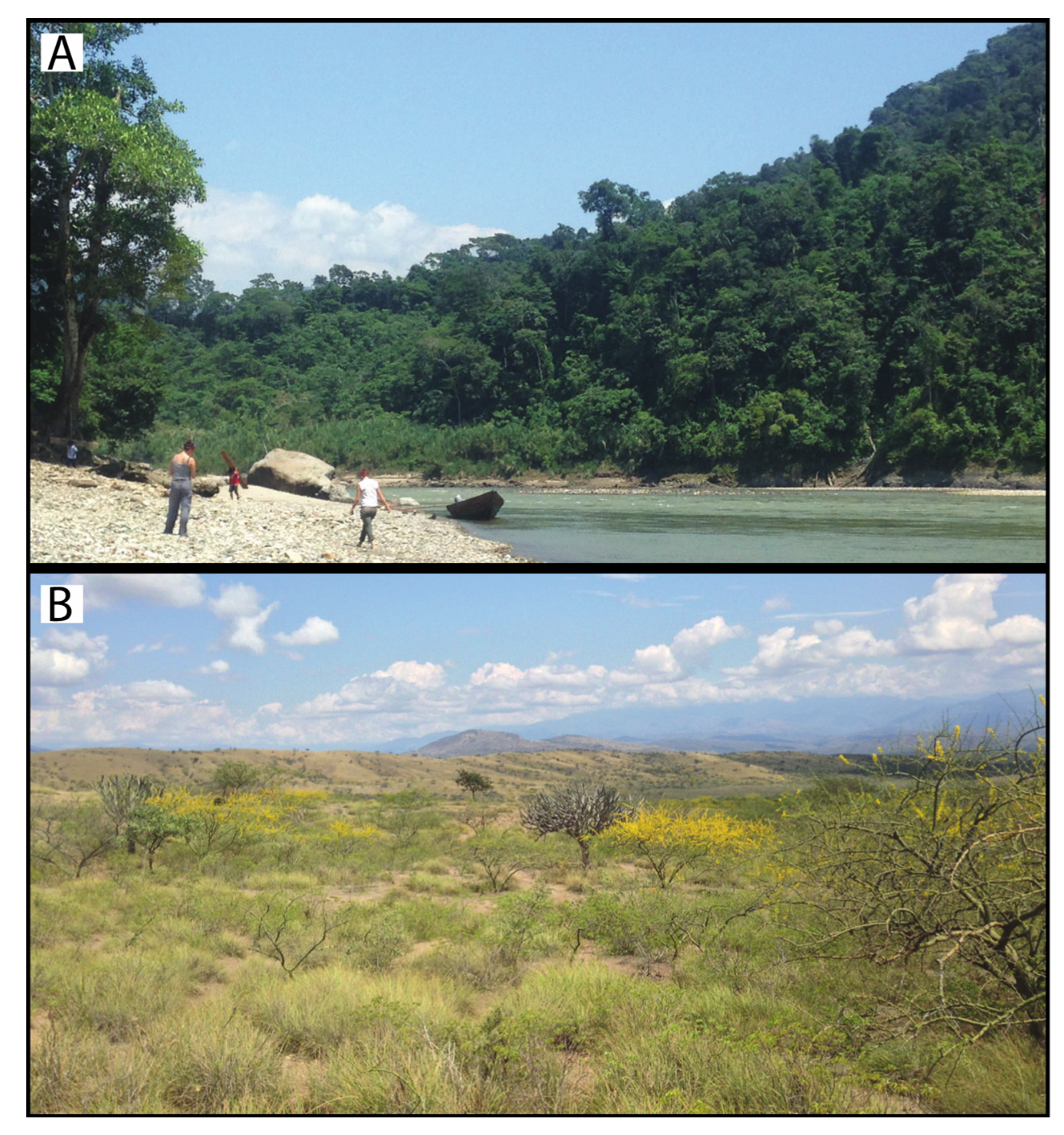 Geosciences 12 00242 g003 550