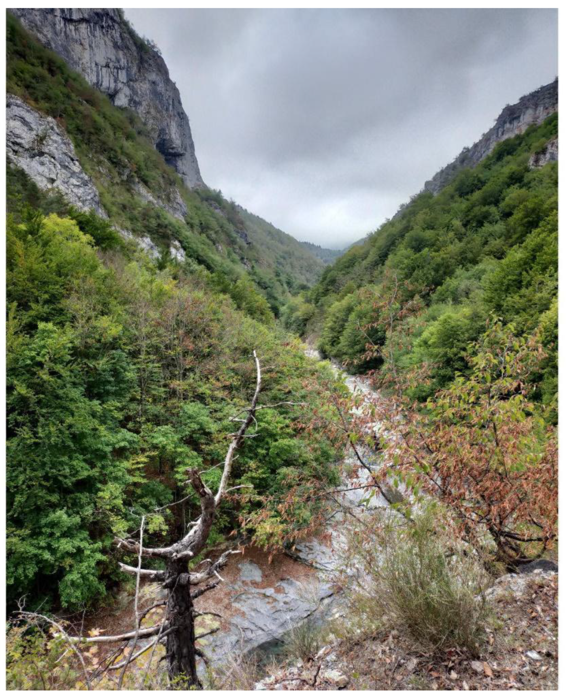 Geosciences 12 00260 g006