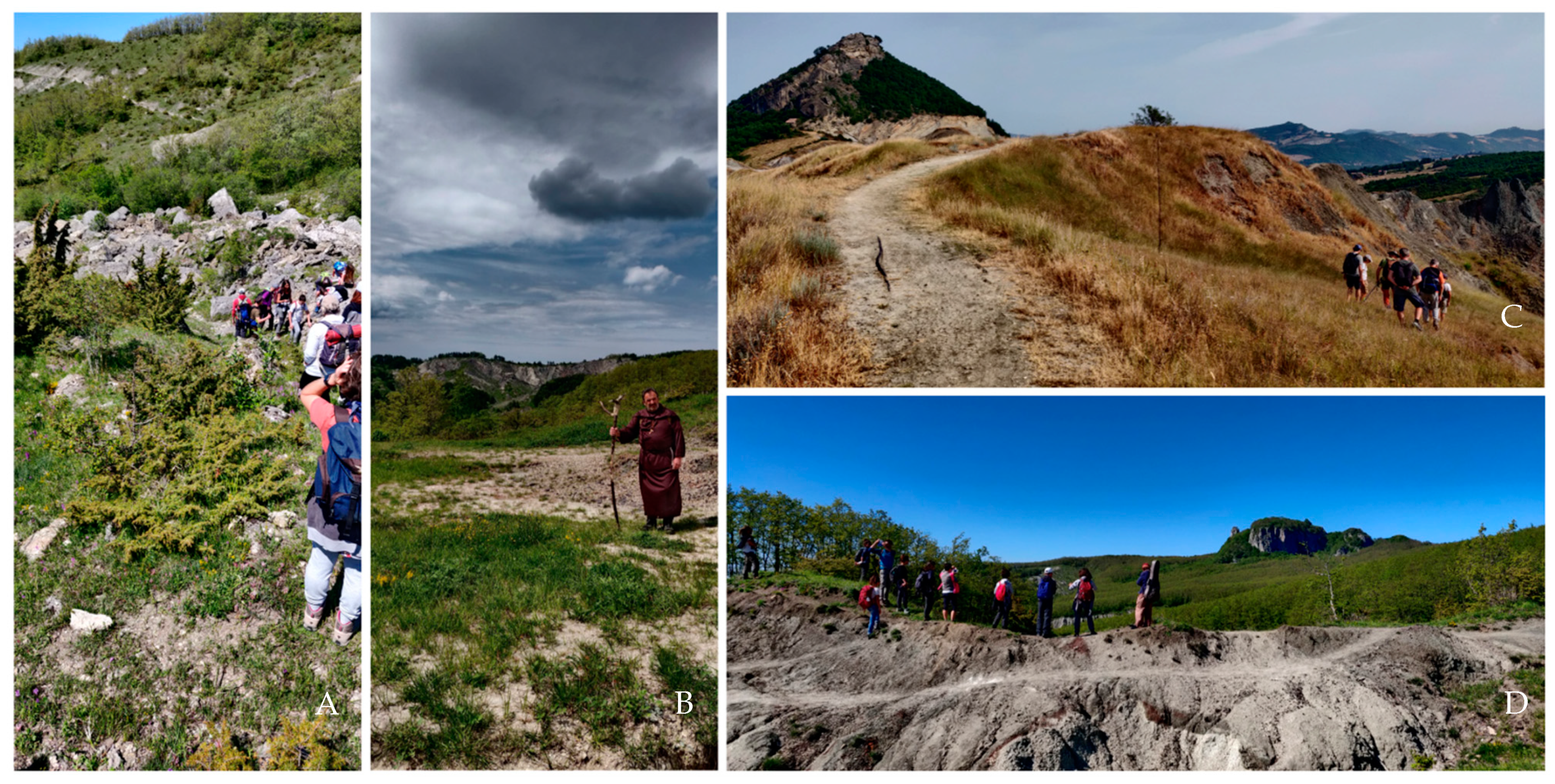 Geosciences 12 00264 g009 550