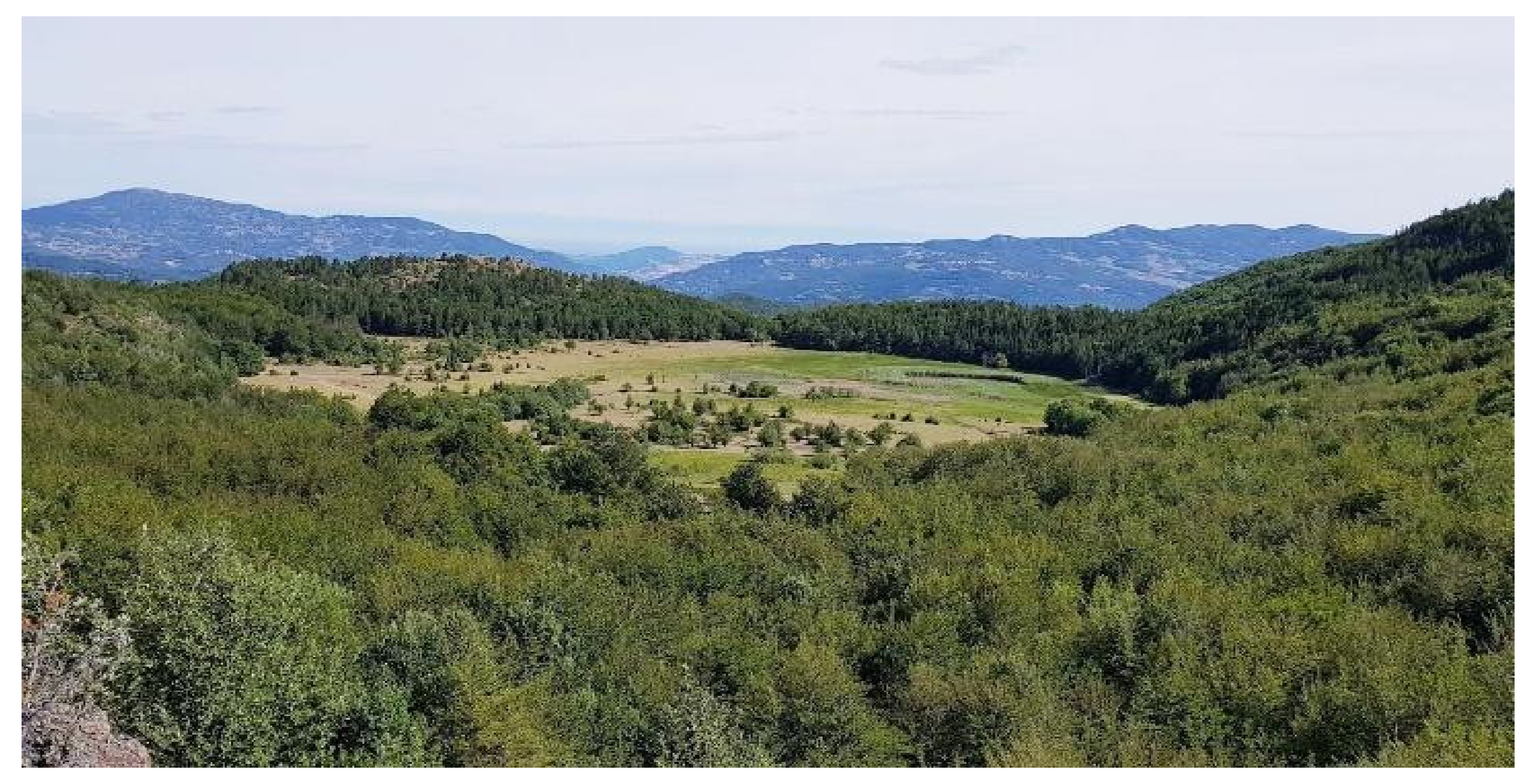 Geosciences 12 00272 g004