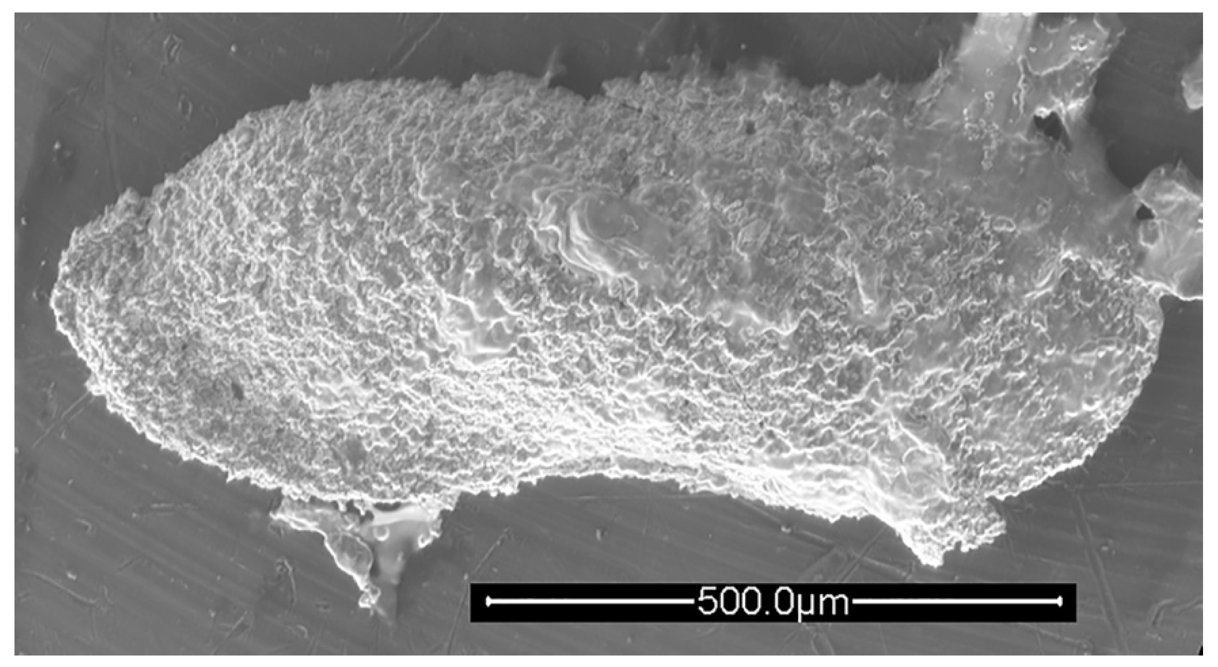 Geosciences 12 00300 g007 550