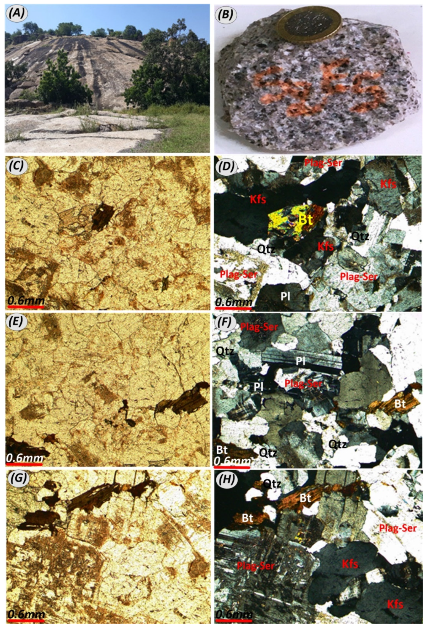 Geosciences 12 00301 g005 550