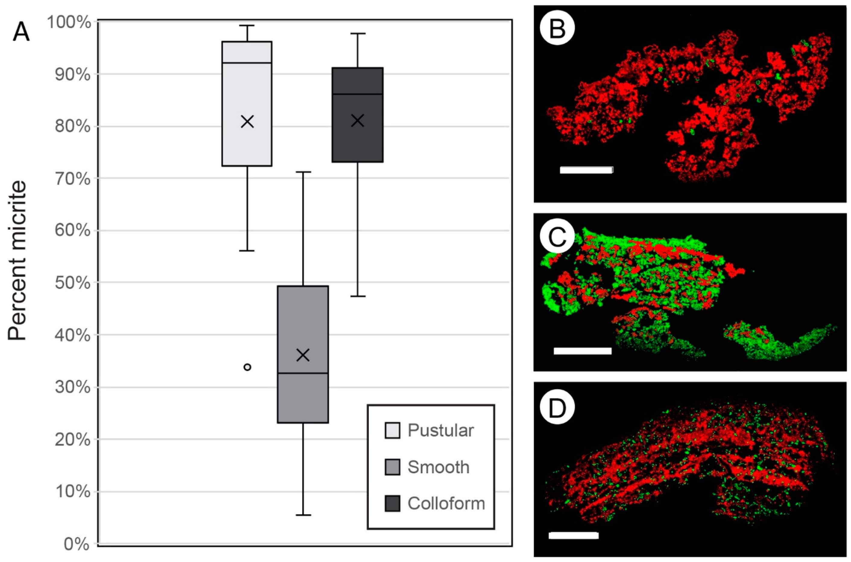 Geosciences 12 00304 g006 550