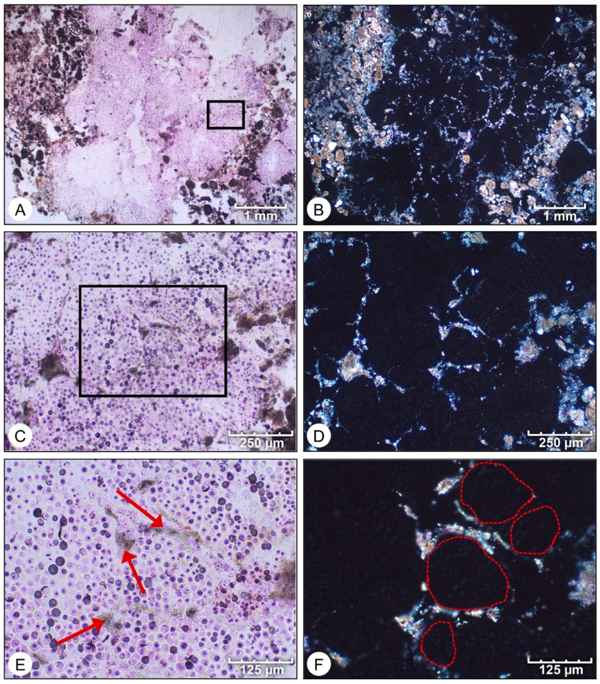 Geosciences 12 00304 g007 550