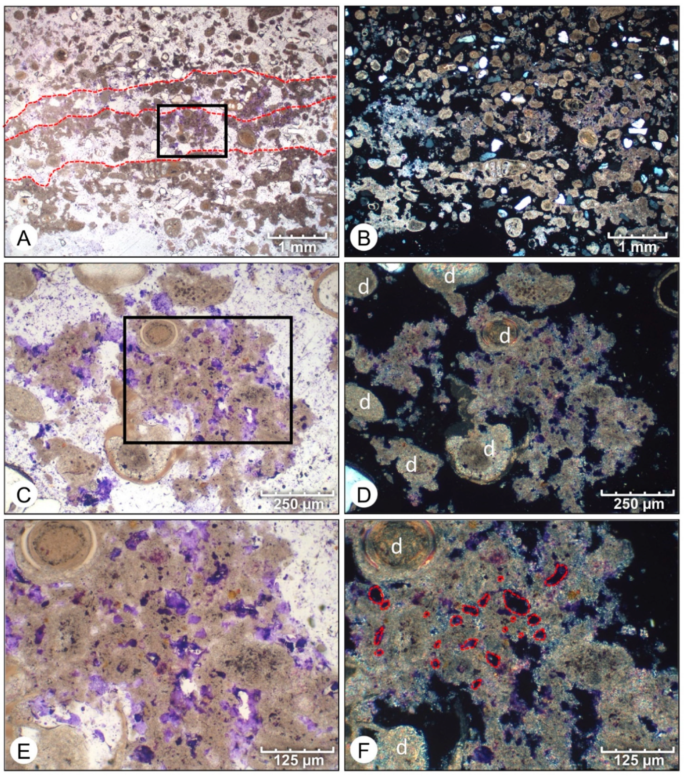 Geosciences 12 00304 g009 550