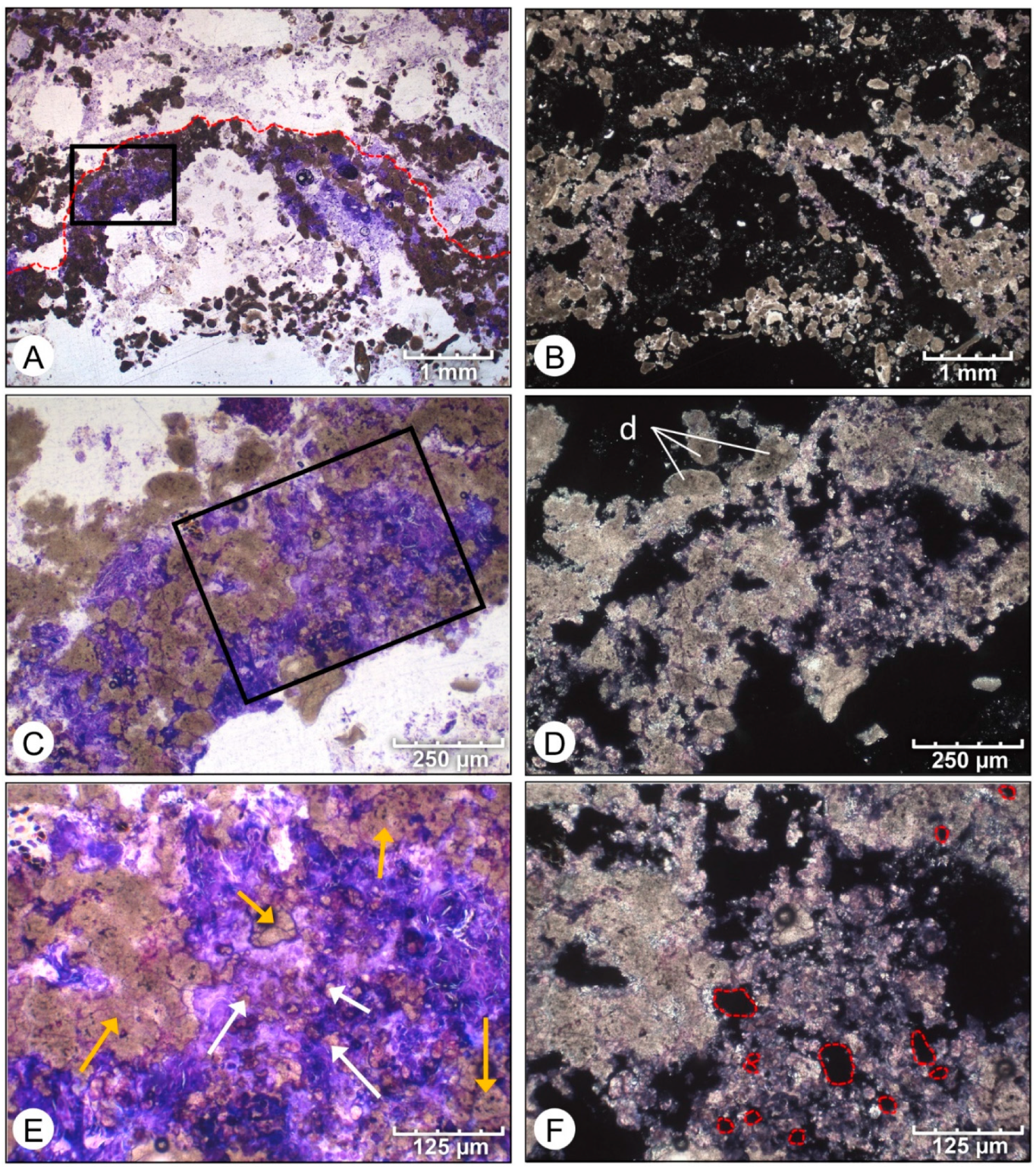 Geosciences 12 00304 g010 550