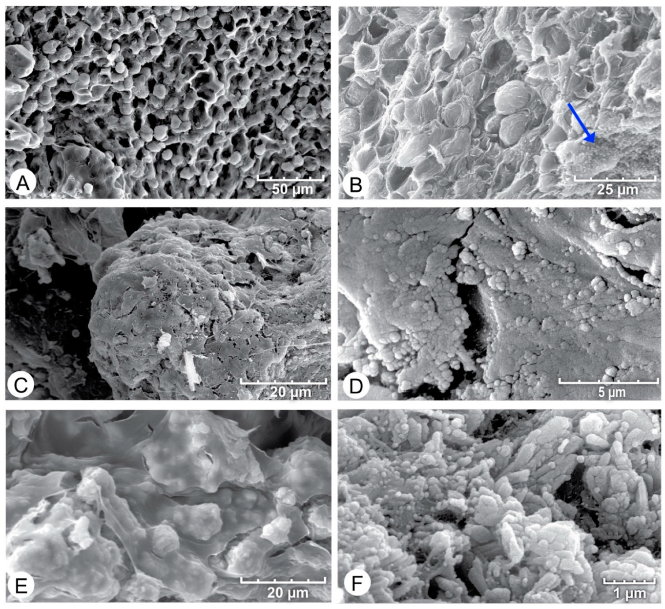 Geosciences 12 00304 g011 550
