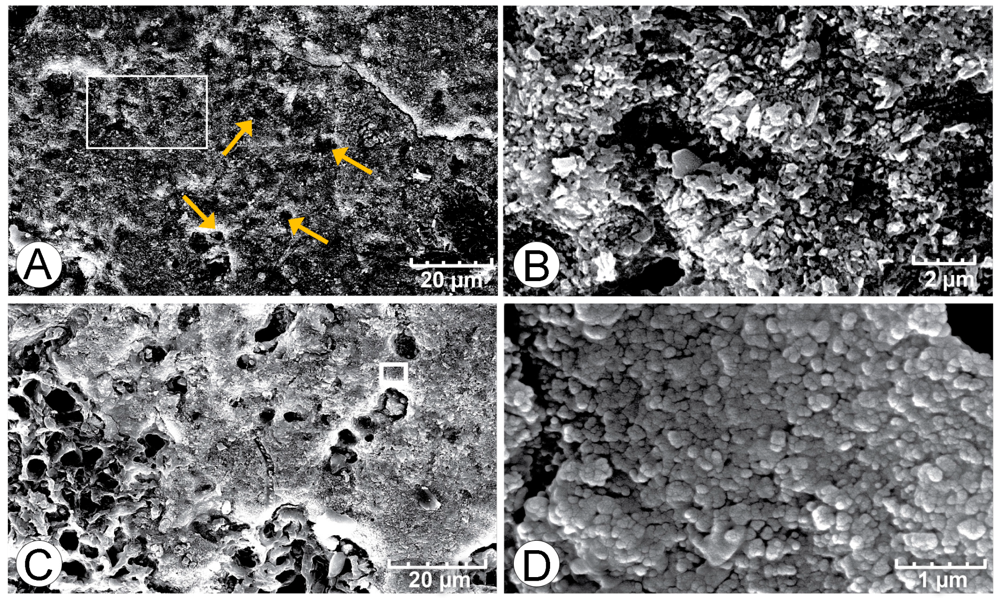 Geosciences 12 00304 g012 550