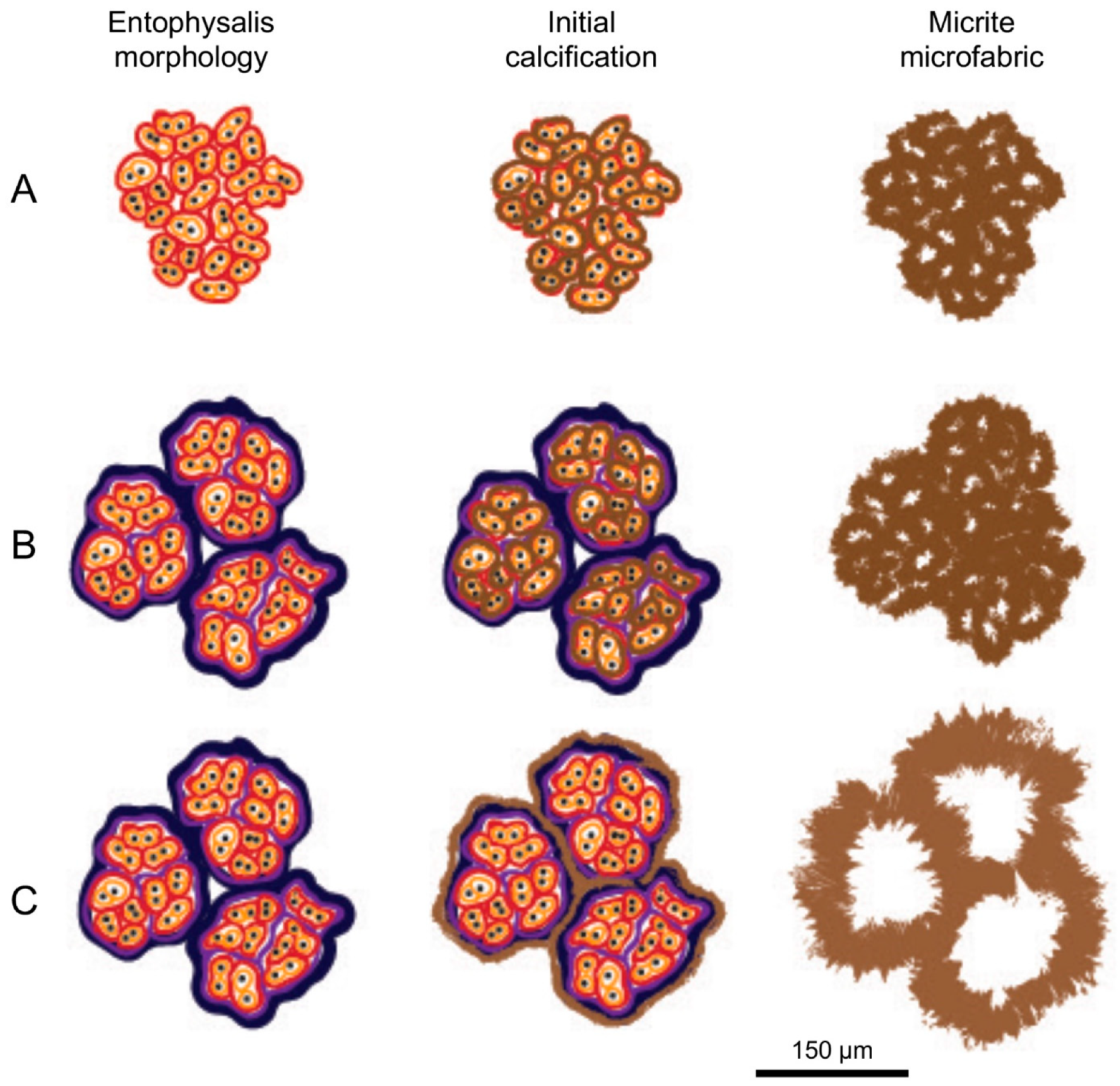 Geosciences 12 00304 g013 550