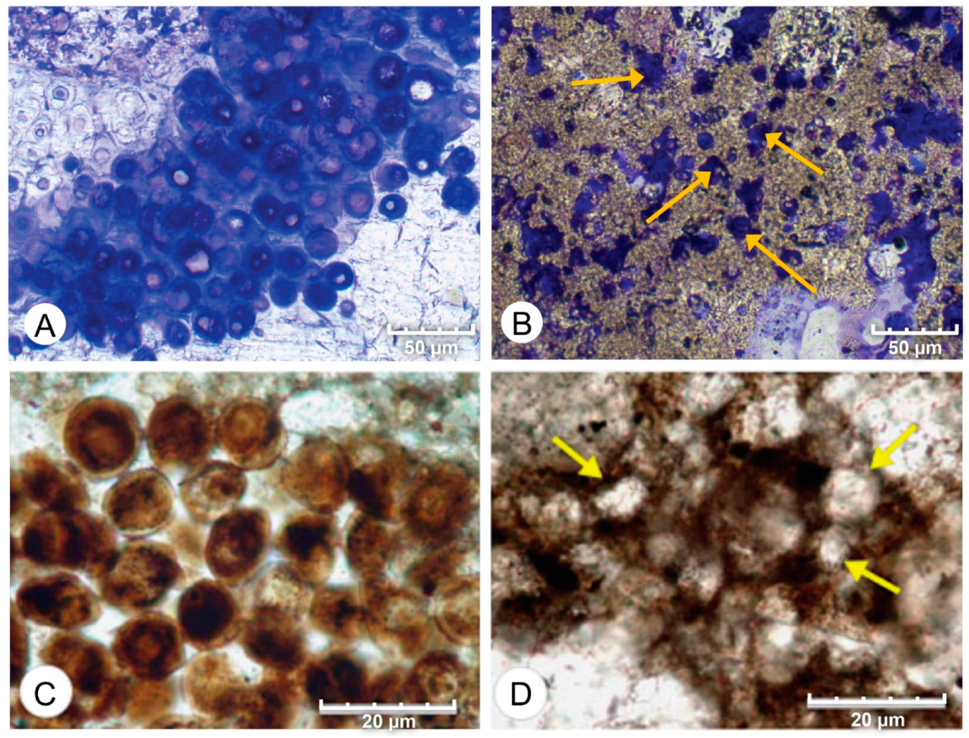 Geosciences 12 00304 g014 550